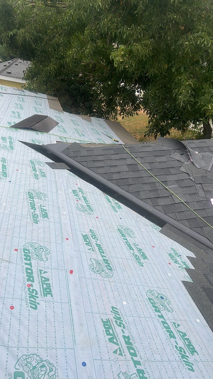 Pewter Gray Shingles by Reimagine Roofing