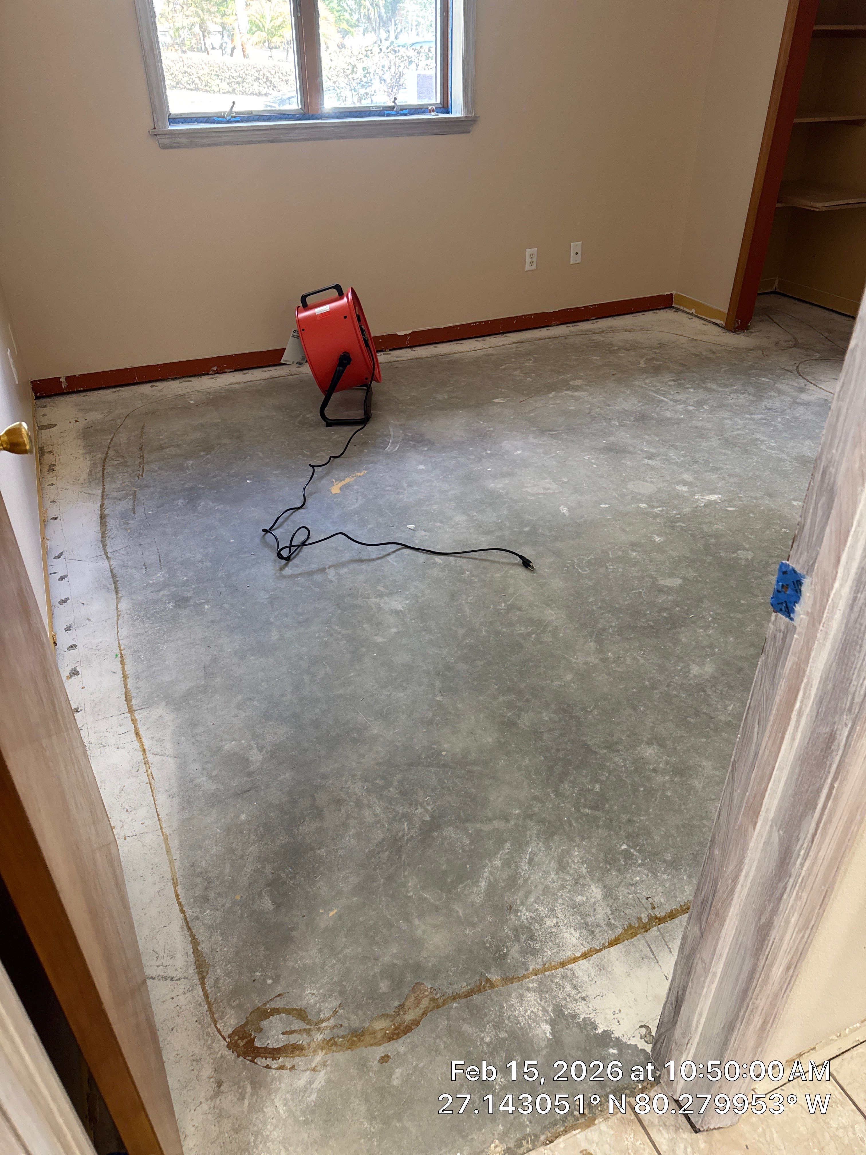 mold by SuperClean