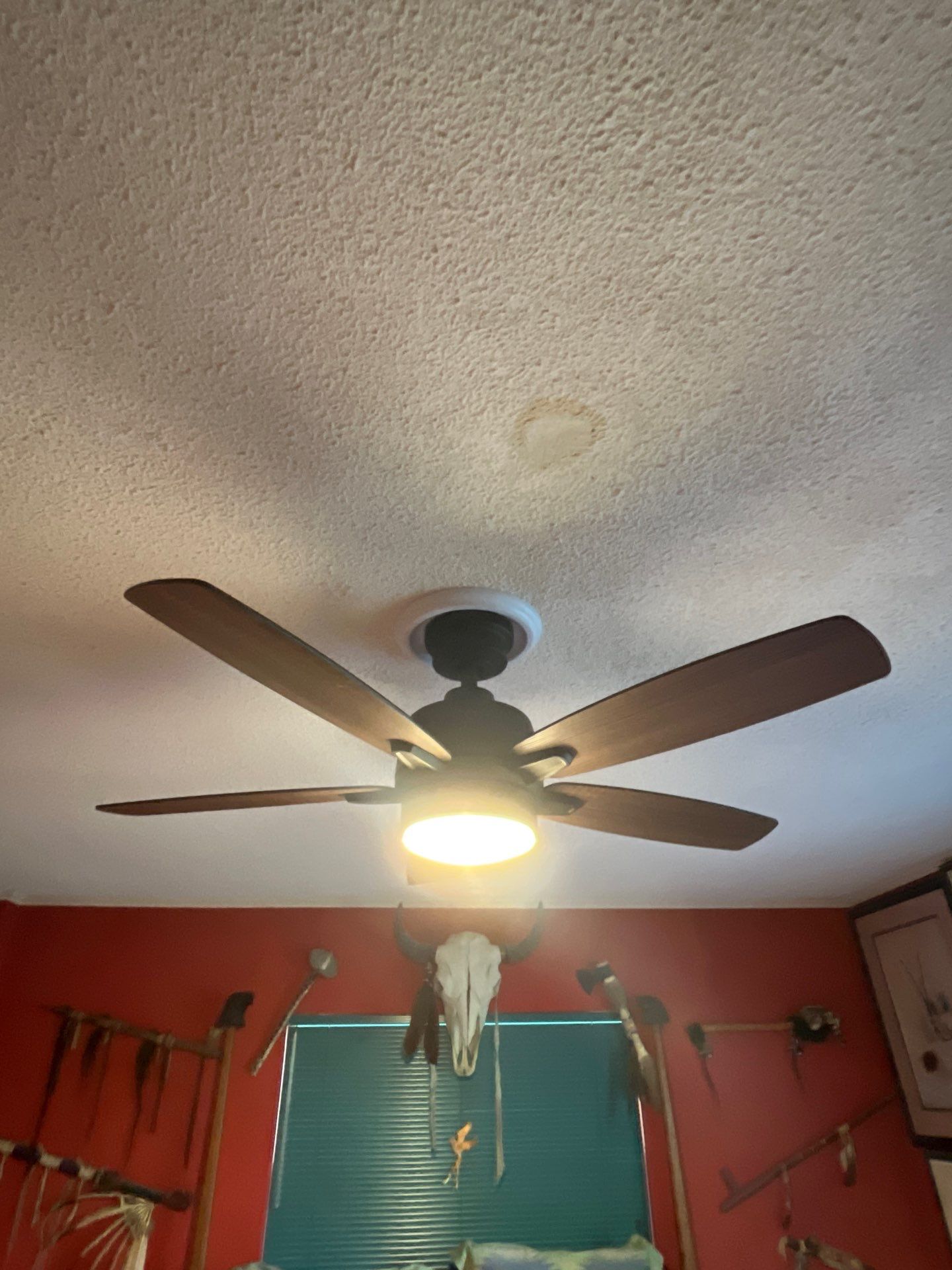 Electrical Repair and Fan Installation in Winter Park by Smartron Electric