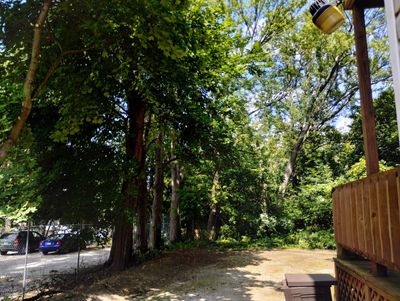 Tree Trimming using Tree Pruing