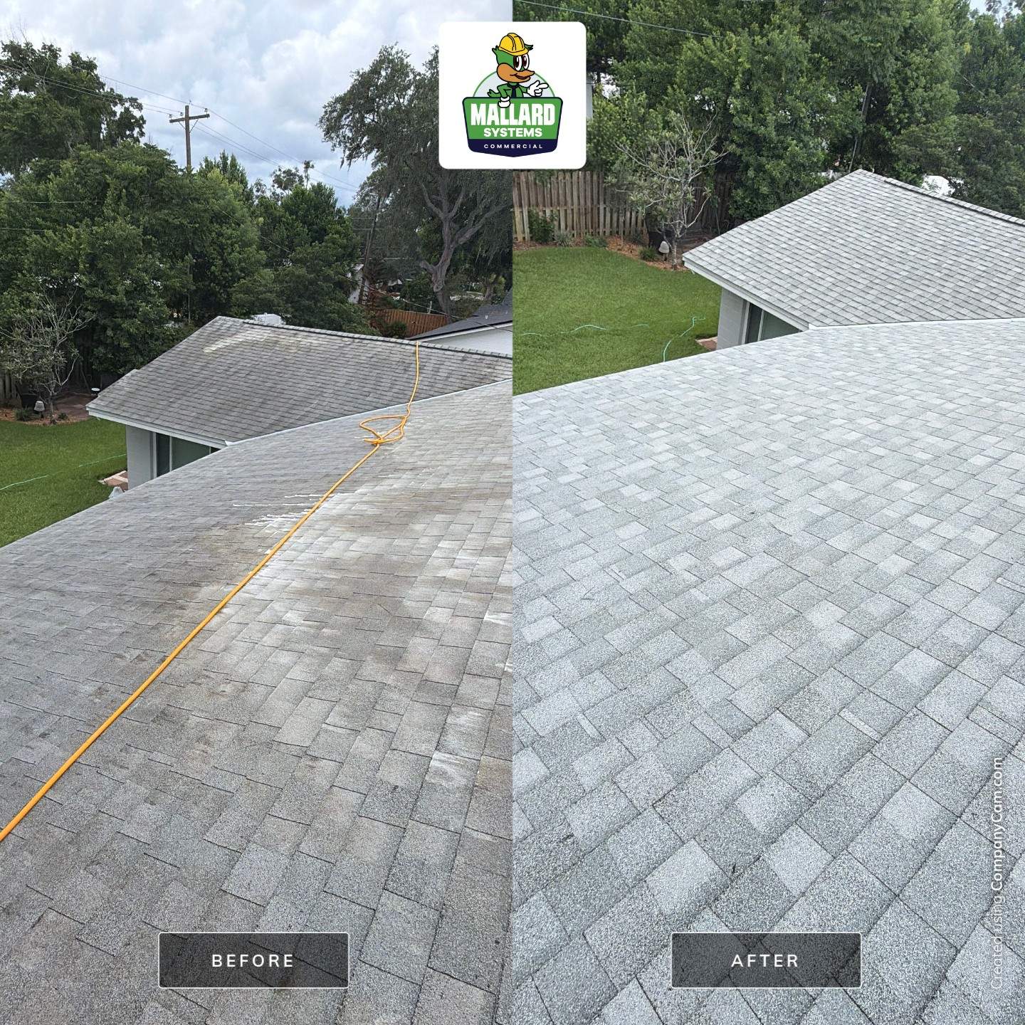 Residential Shingle Roof Cleaning and Exterior Refresh in Maitland by Mallard Systems