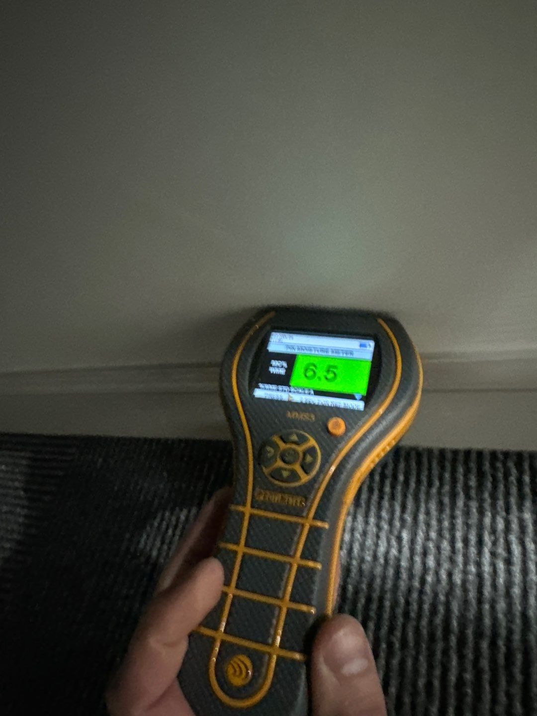 Project in Novi by EzDry Water Mitigation & Property Restoration