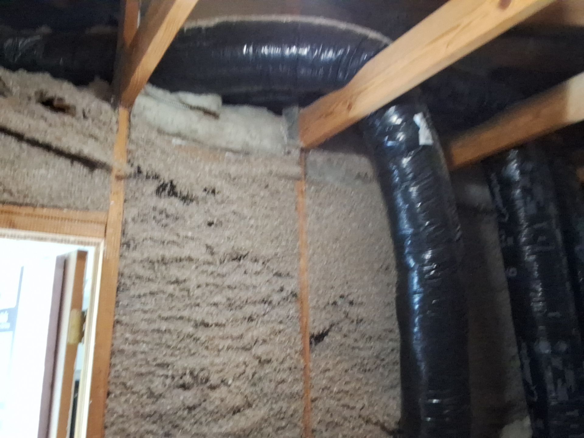 Hill's Storage remodel by Avodah Contractors