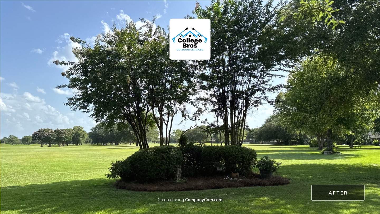 Landscaping Frenchman's Bend by College Bros Outdoor services