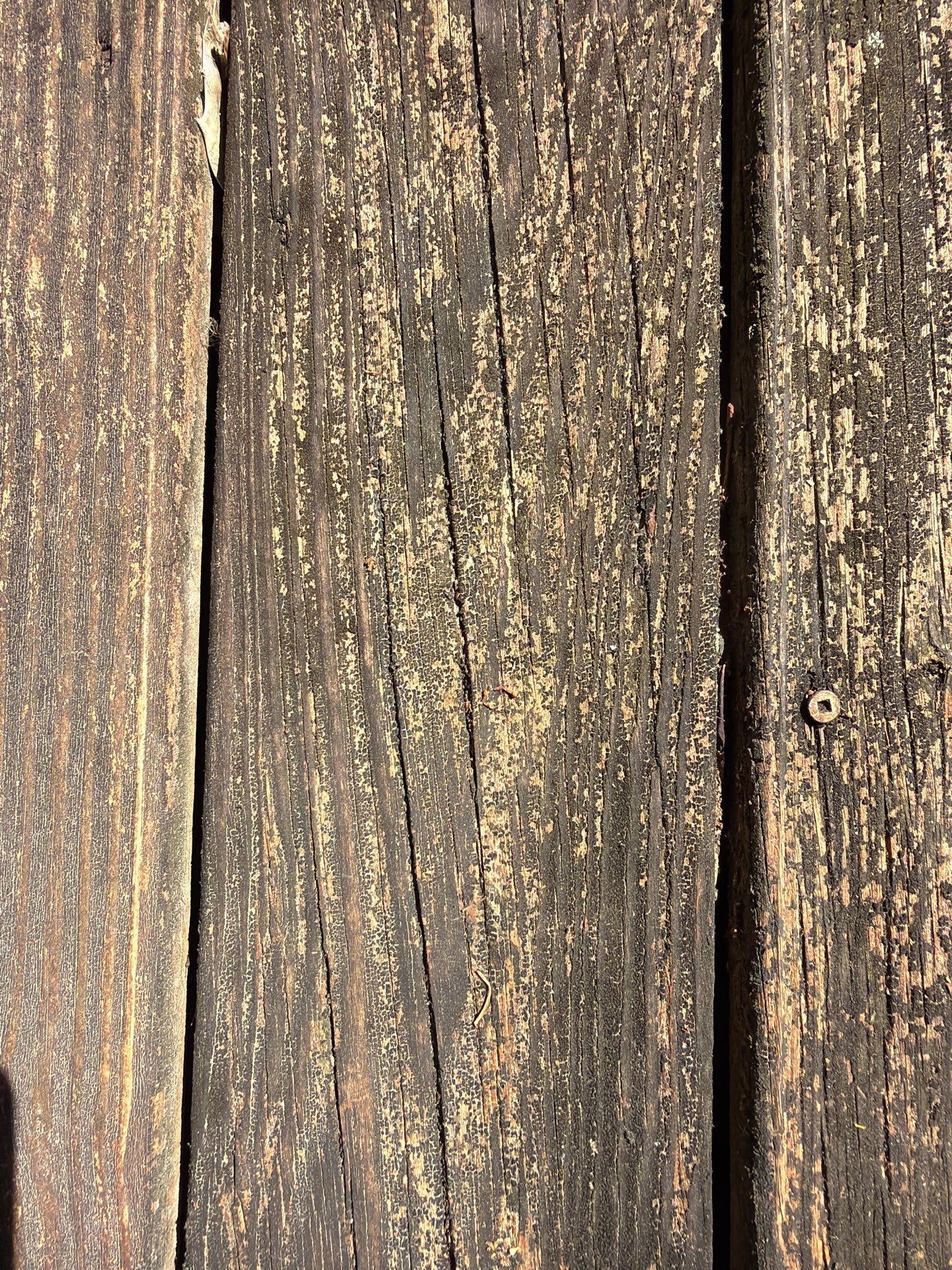 Deck using Wood Sealant by DuraSeal