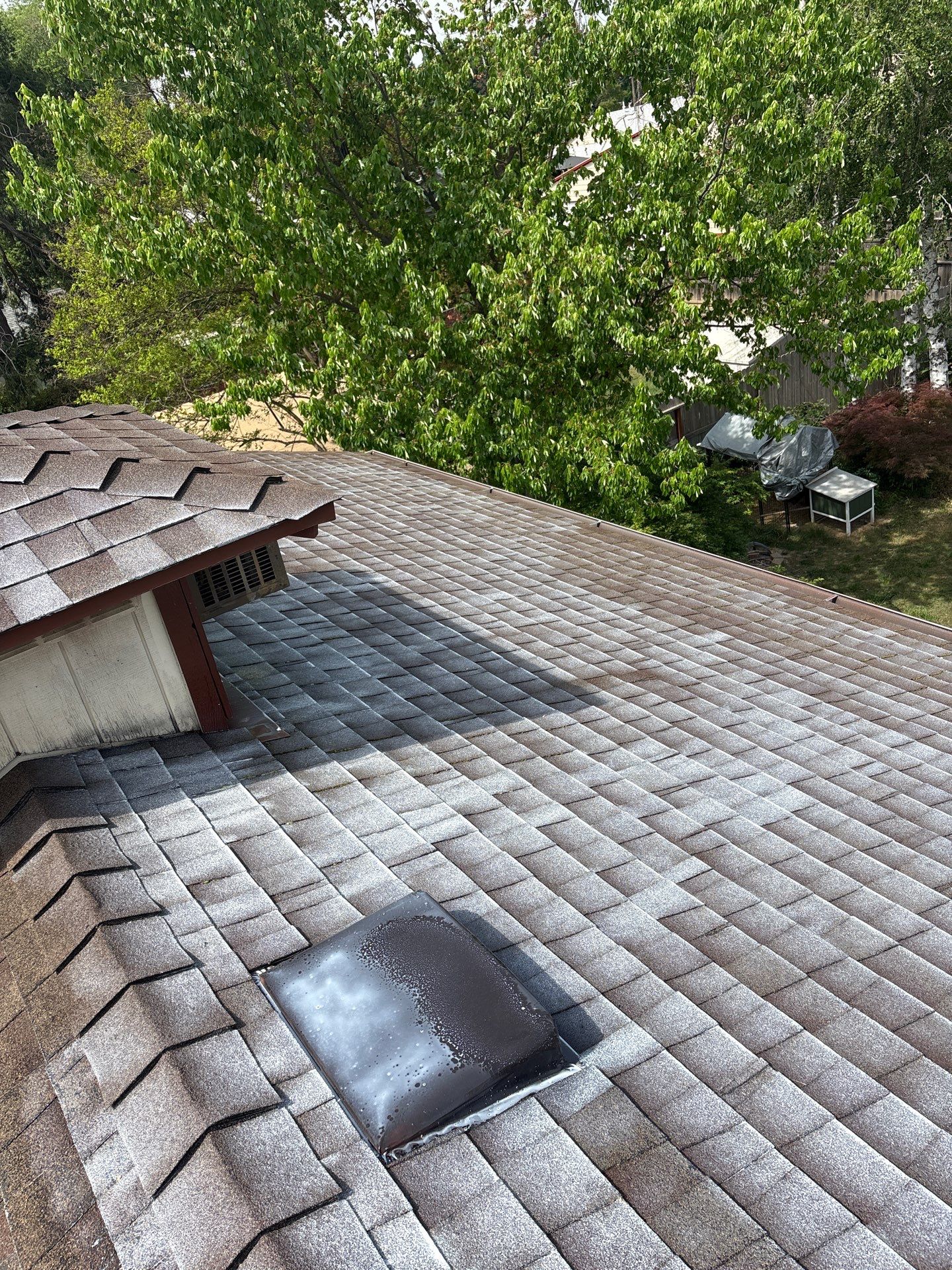 Roof Rejuvenation using Roof Maxx Treatment by Roof Maxx of Folsom