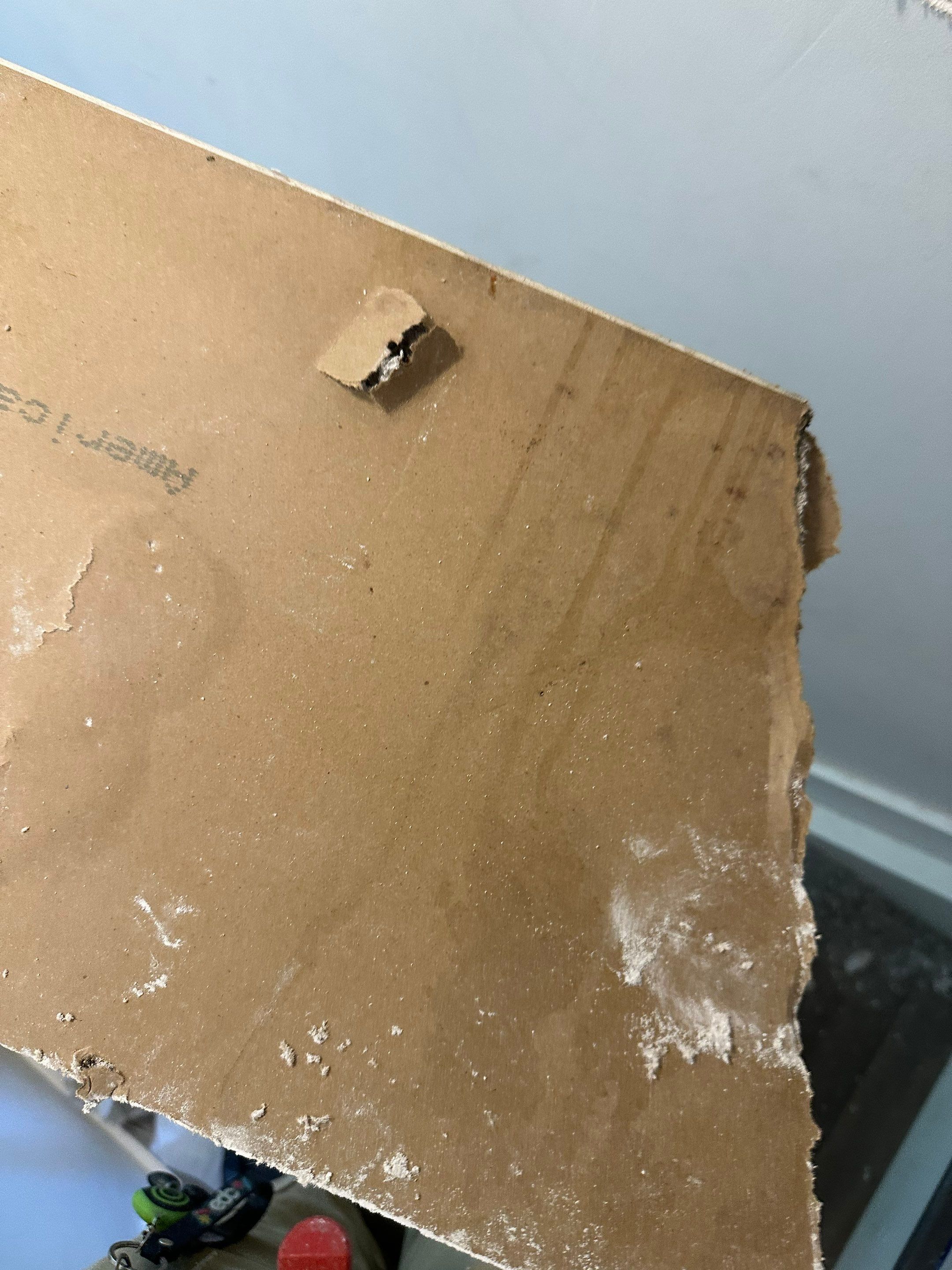 Water Damage in Denver, CO by Alpha Restoration 