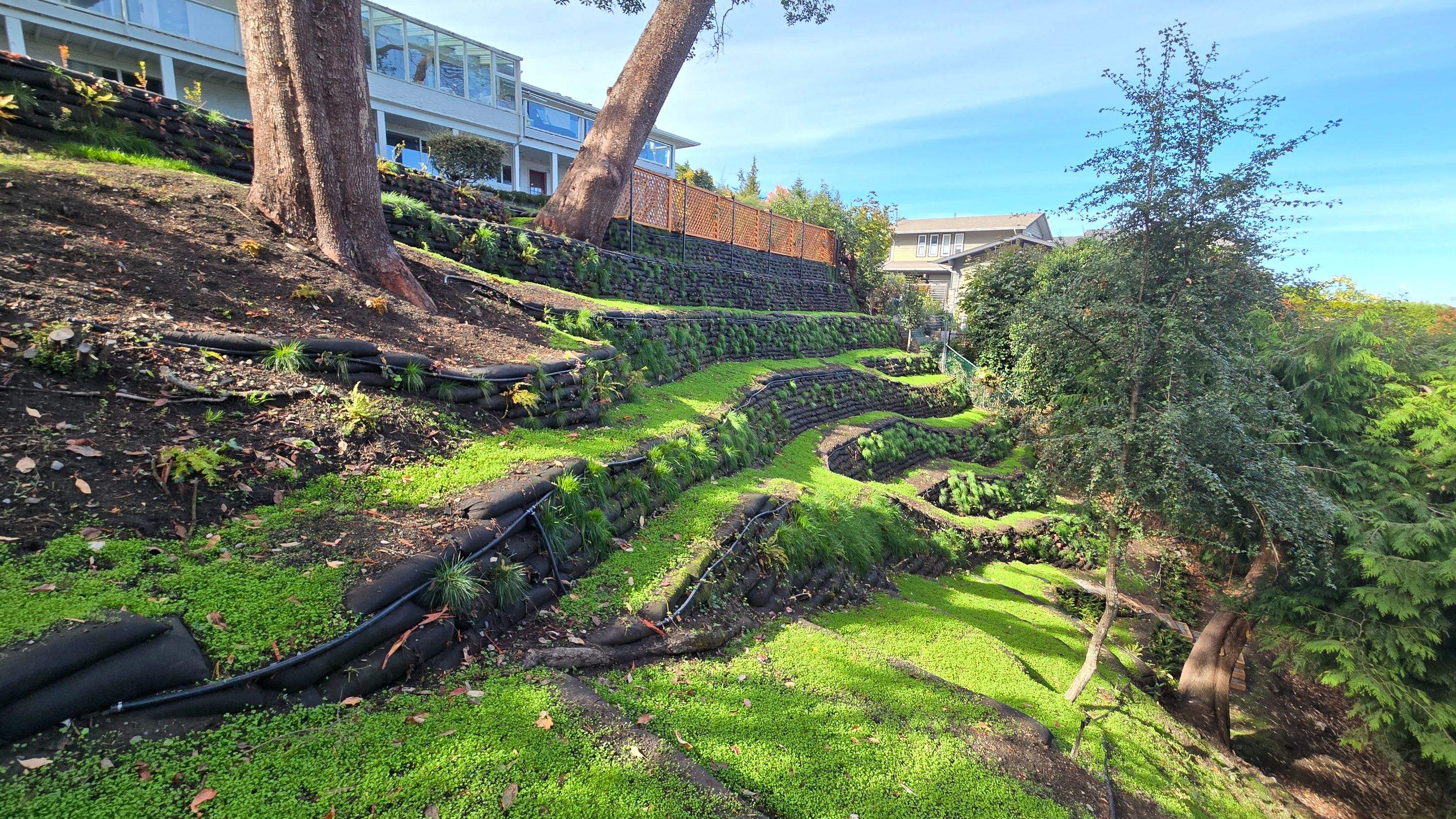 Georgia Park Terrace — Living Slope Transformation by Habanero Landscape Solutions