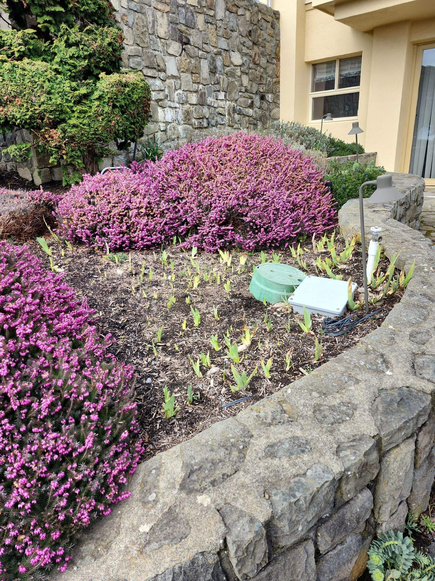 Garden Care - Oak Bay Residence by Habanero Garden and Exterior Care