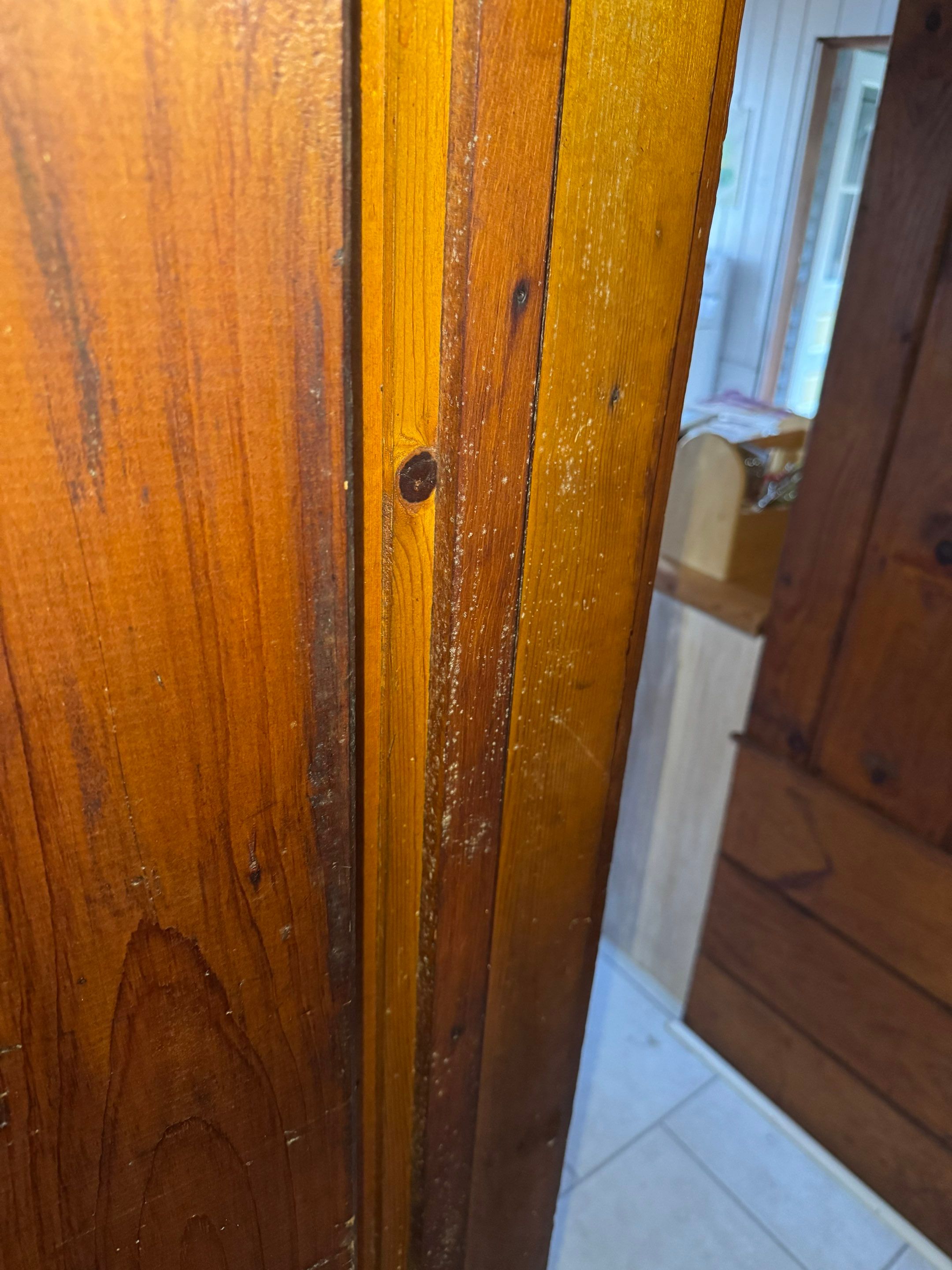 Entire Home Remediation by Home Guarantee, LLC