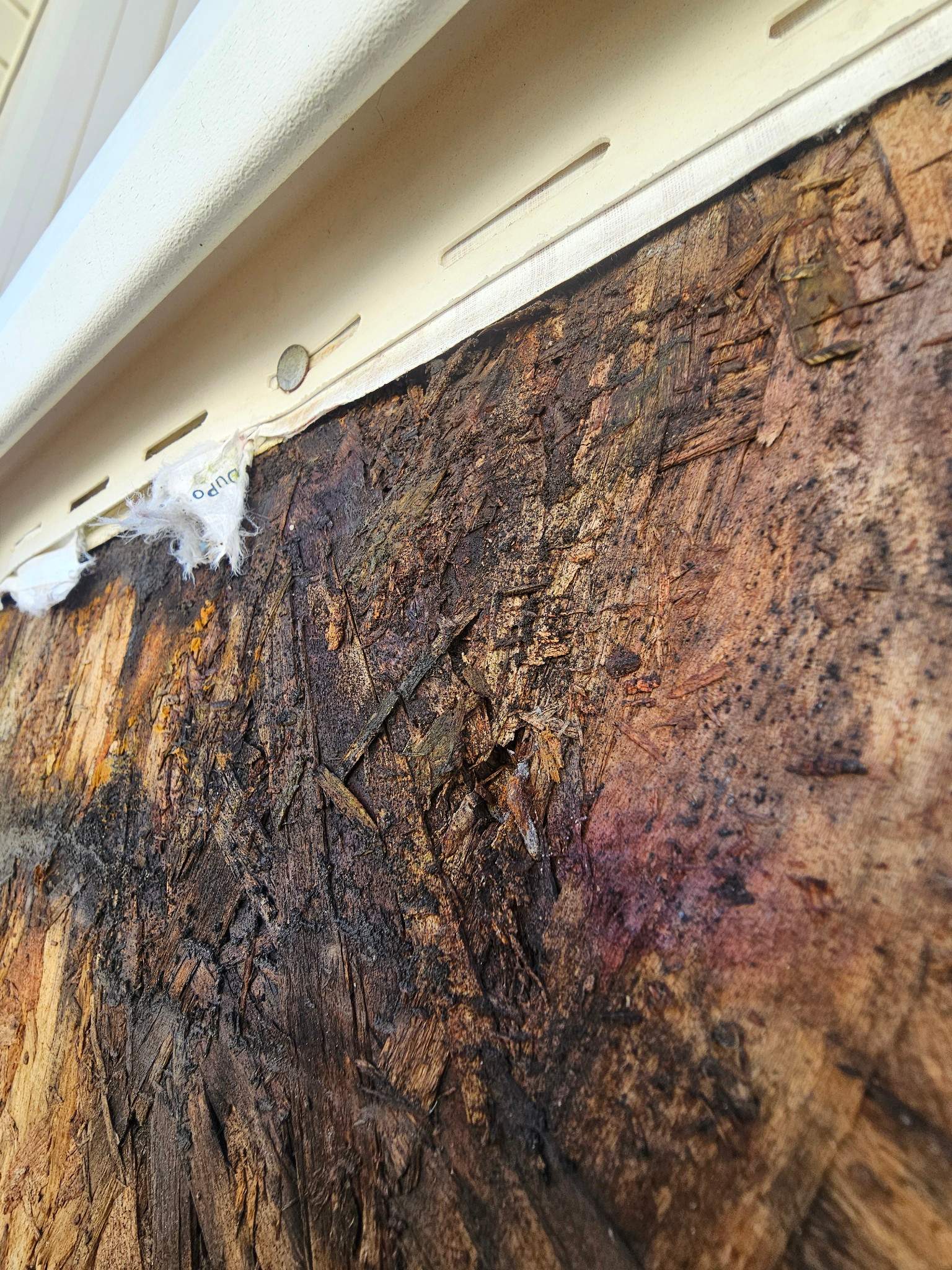 When Mother Nature tells you to upgrade! by 1st choice windows and siding