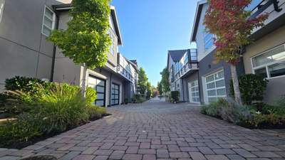 Sea Haven — Year-Round Strata Landscape Care