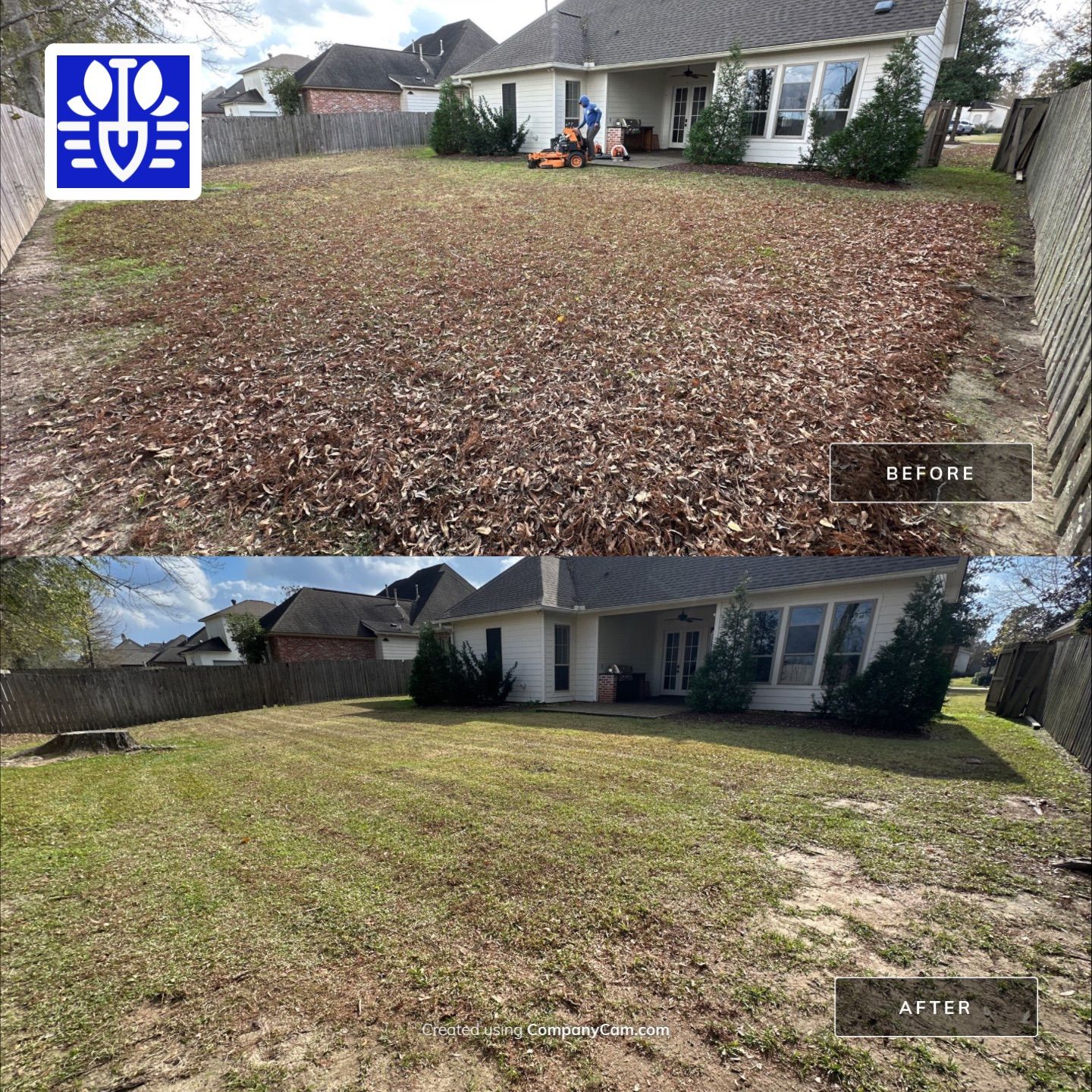 WINTER SERVICES: FULL LEAF JOB using  Leaf Removal by CutScape, LLC.