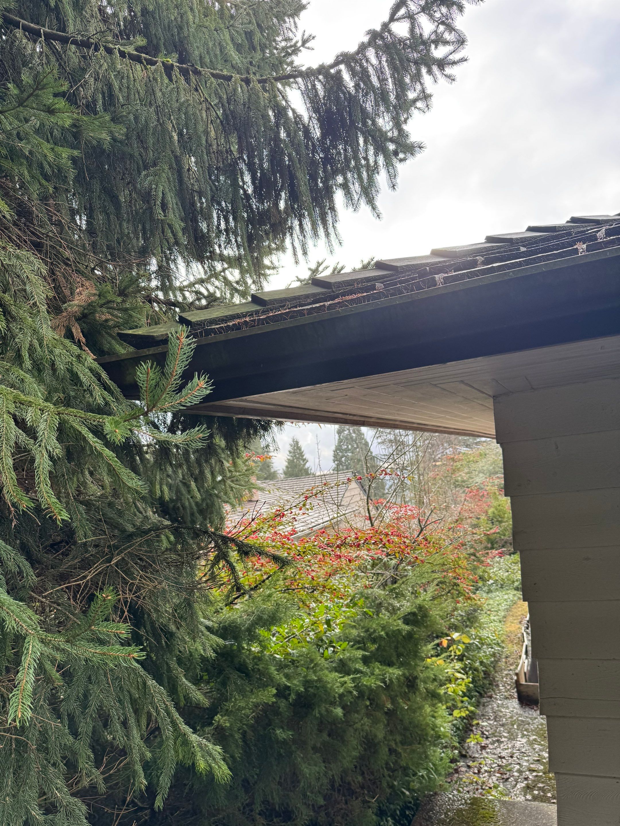 Handy man Repair for Sycamore Property  by YVR Construction Group