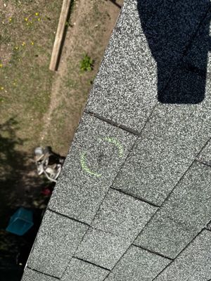 Project in Saint Augusta