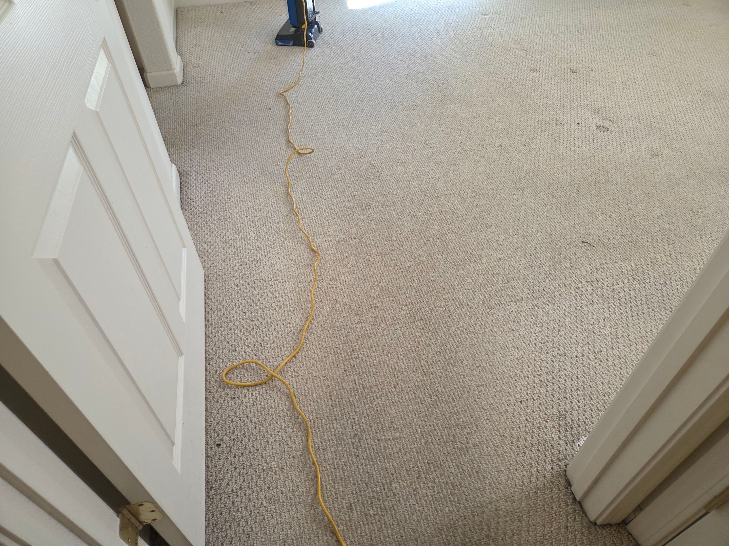 Heavy Carpet Cleaning for a Listing by Ardent Carpet Restore LLC
