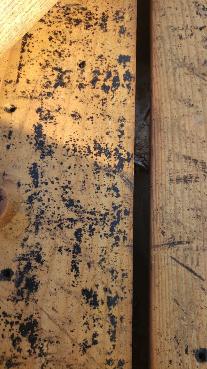 Fairfax: CertainTeed Landmark Pro Designer Shingles in Max Def Charcoal Black by RM Banning, Inc.