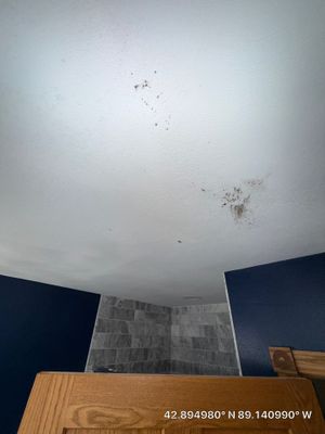 Mold Remediation