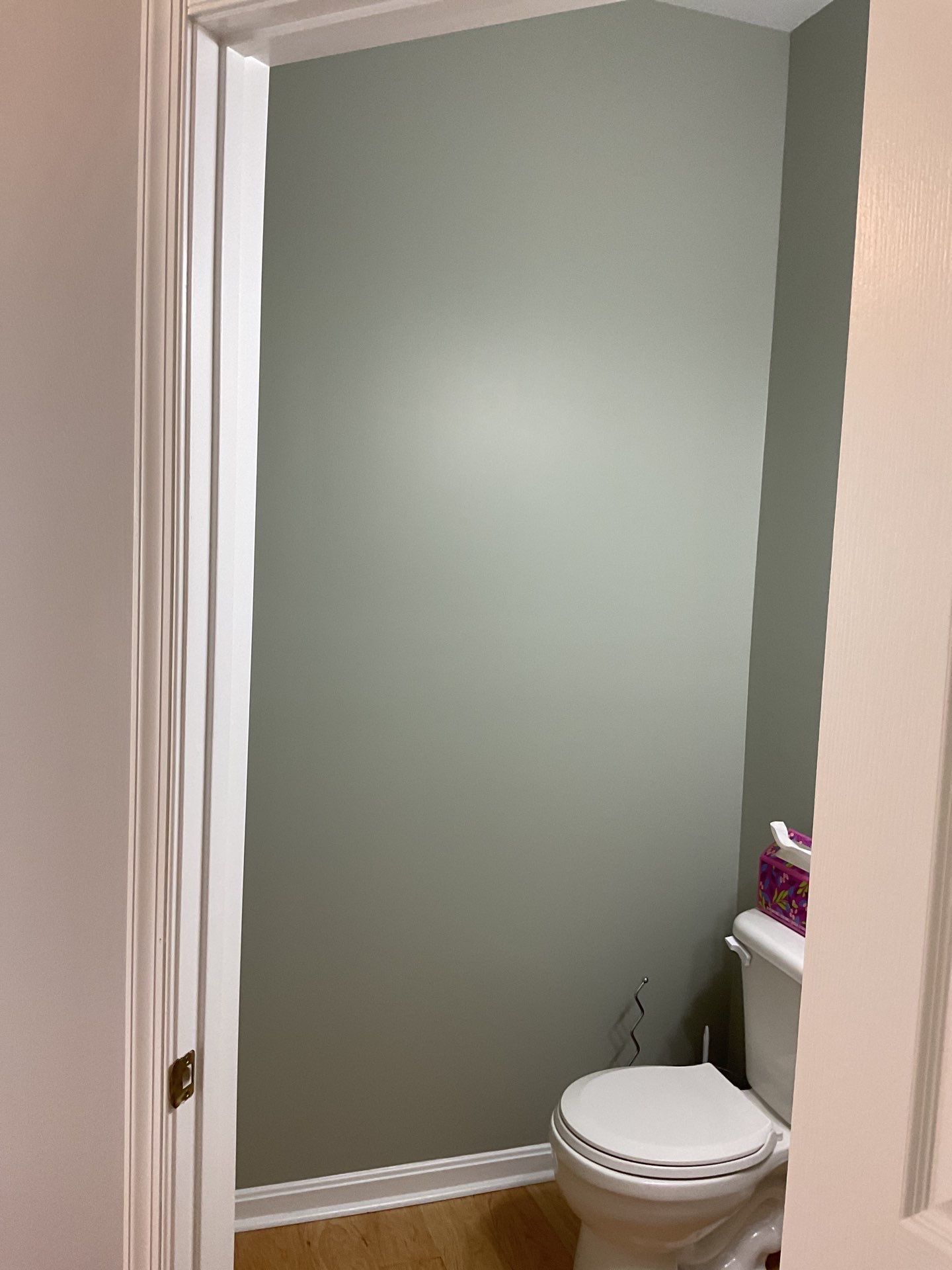 From Bold Colors to Modern Elegance: Complete Interior Repaint in Collegeville by Groovy Hues