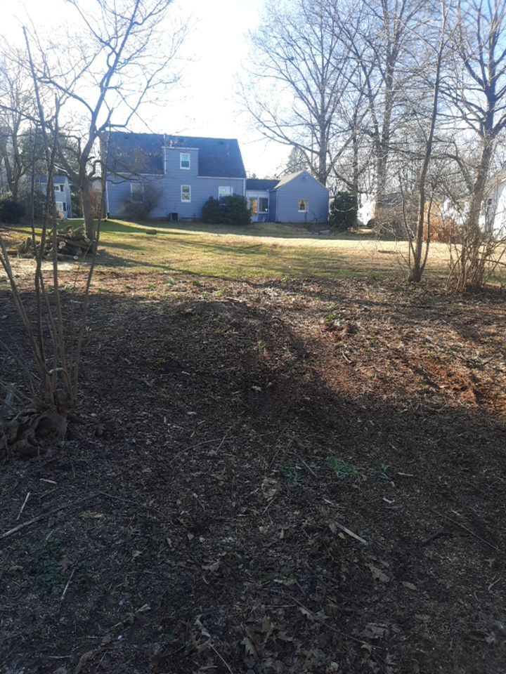 Tree Removal using Tree Removal by Mike Jones & Sons Tree Service LLC 