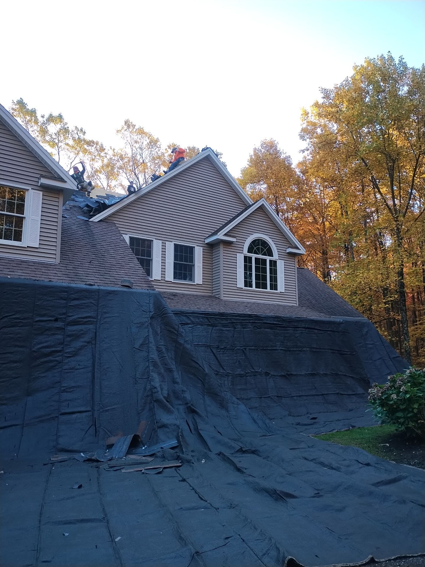 Prospect by All site builders LLC