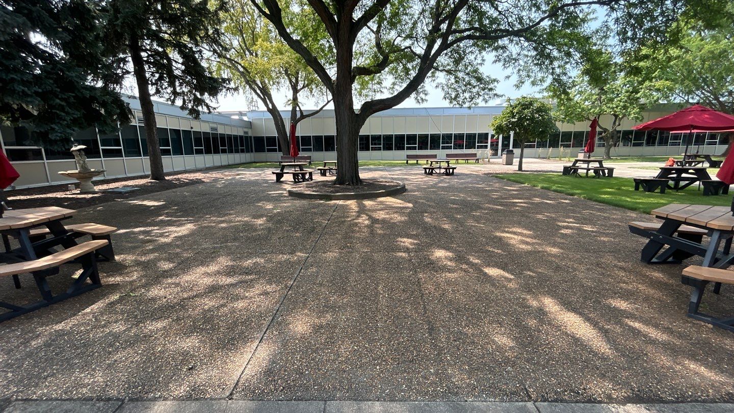concrete using Algaecide, soft wash soap by Northern Power Washing LLC.