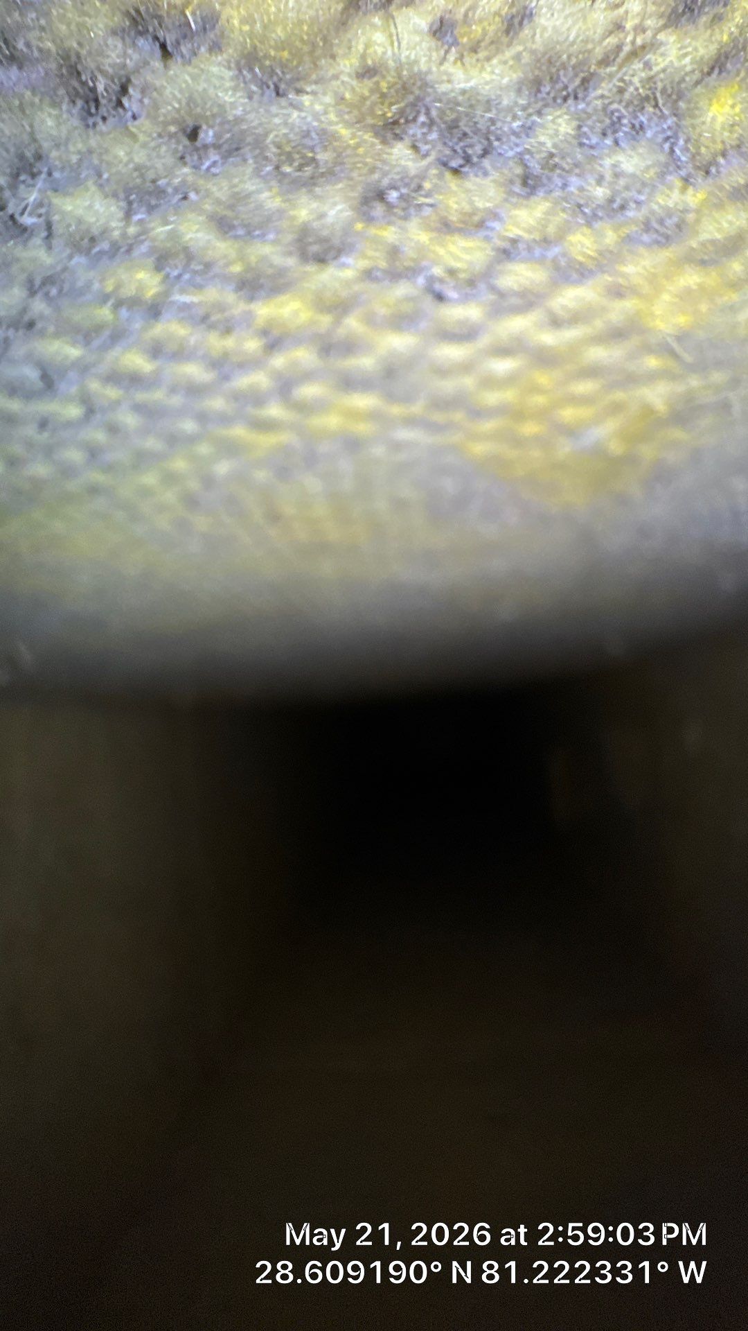 Air Duct Cleaning in Orlando by Hygienic Air, Inc