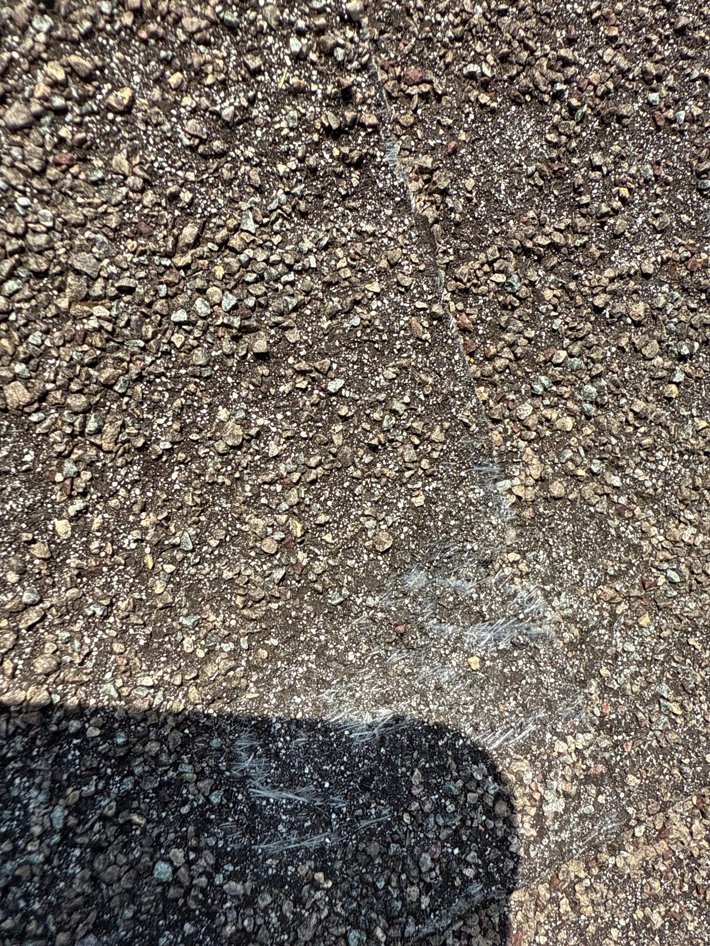 Hail storm restoration  by In & Out Construction & Remodeling, LLC