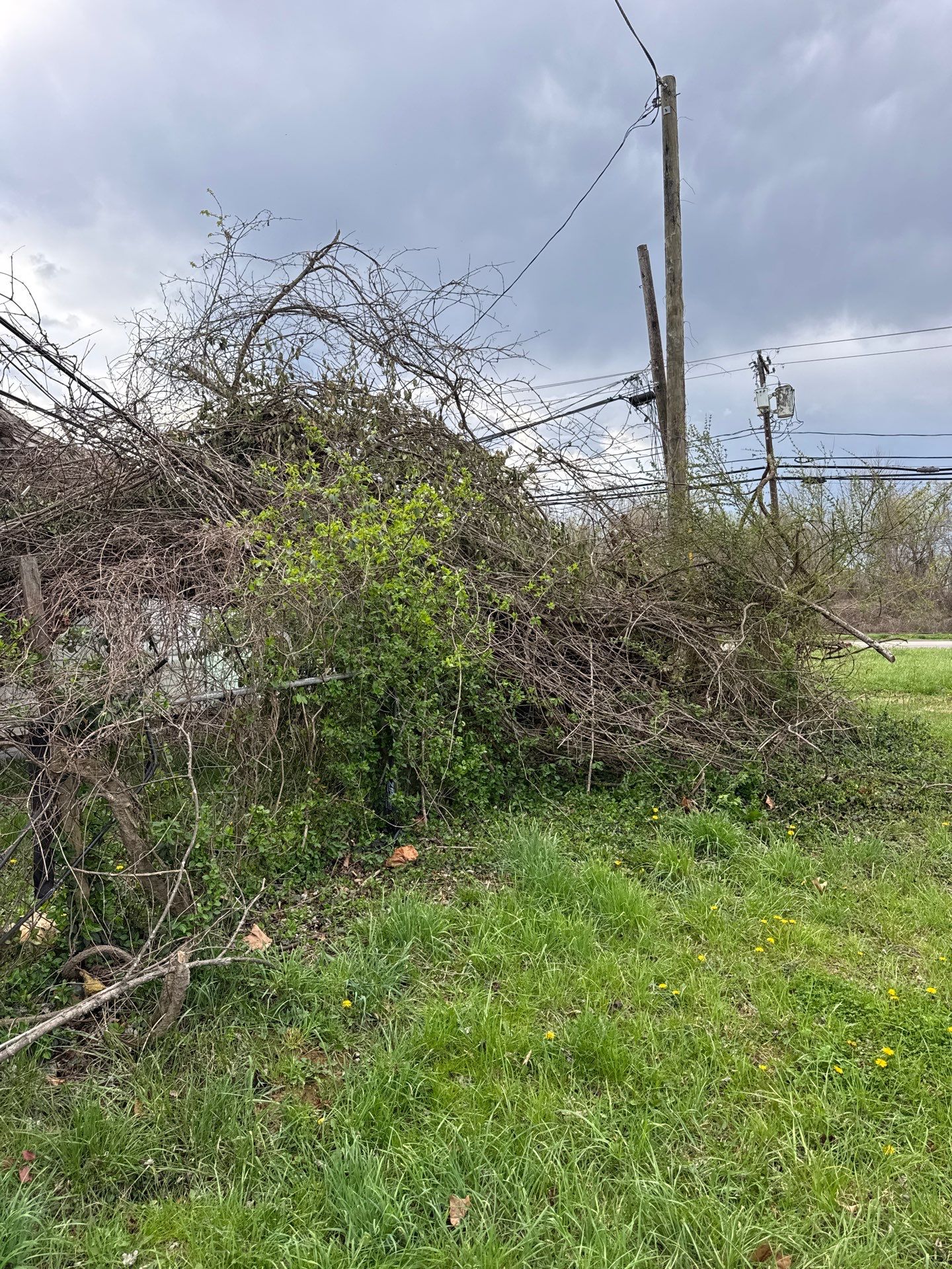 Project in Nitro, WV Rotator Crane Lifts Tree Off House | Nitro WV • One Wrong Move Job | Rotator Crane Tree Removal • Heavy Rescue Tree Job | Nitro WV • Extreme Tree Removal Over Home | Nitro WV by Jones Empire LLC