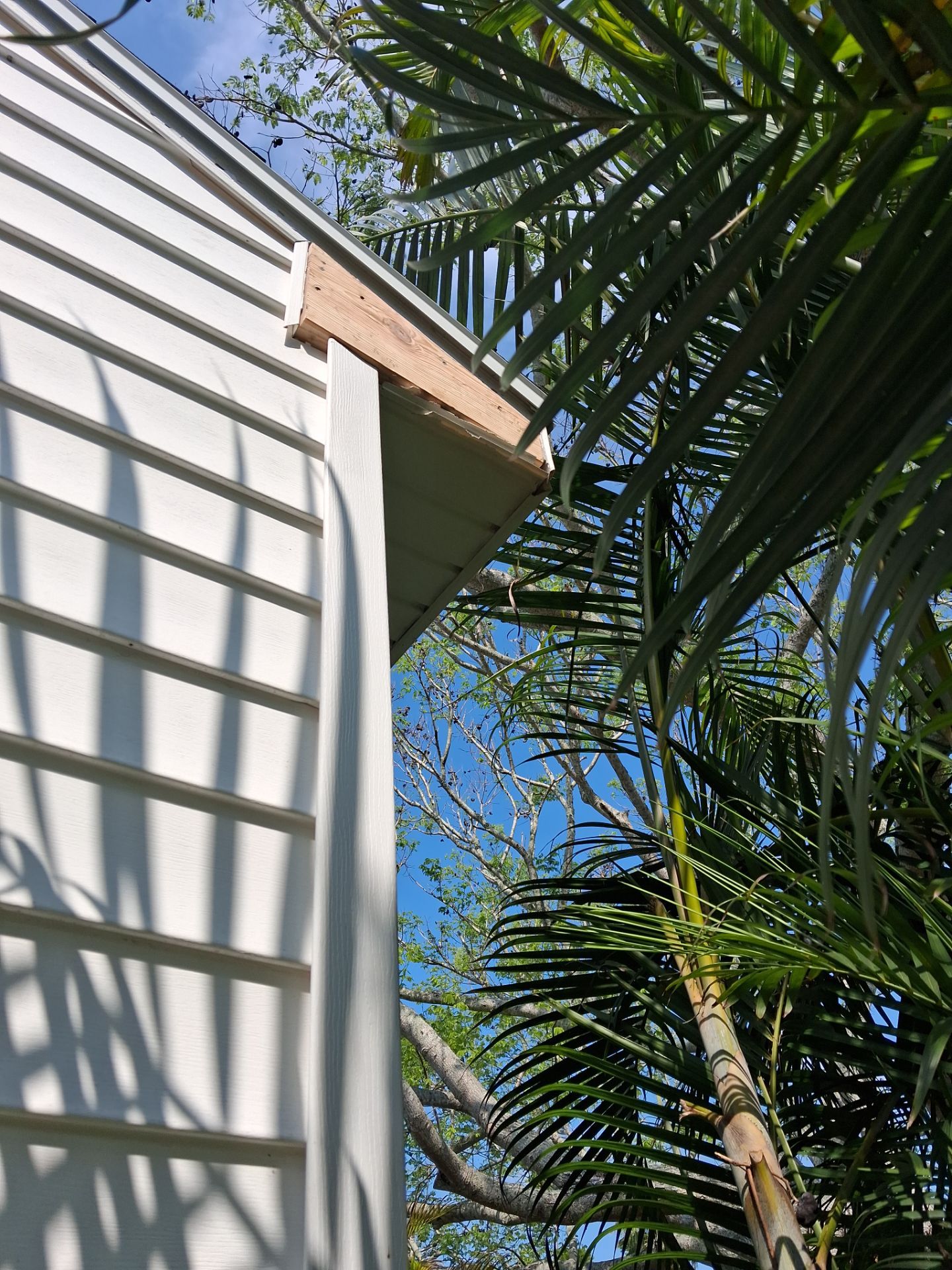 Project in Clearwater 33755 by Mitchell Roofing Company LLC 