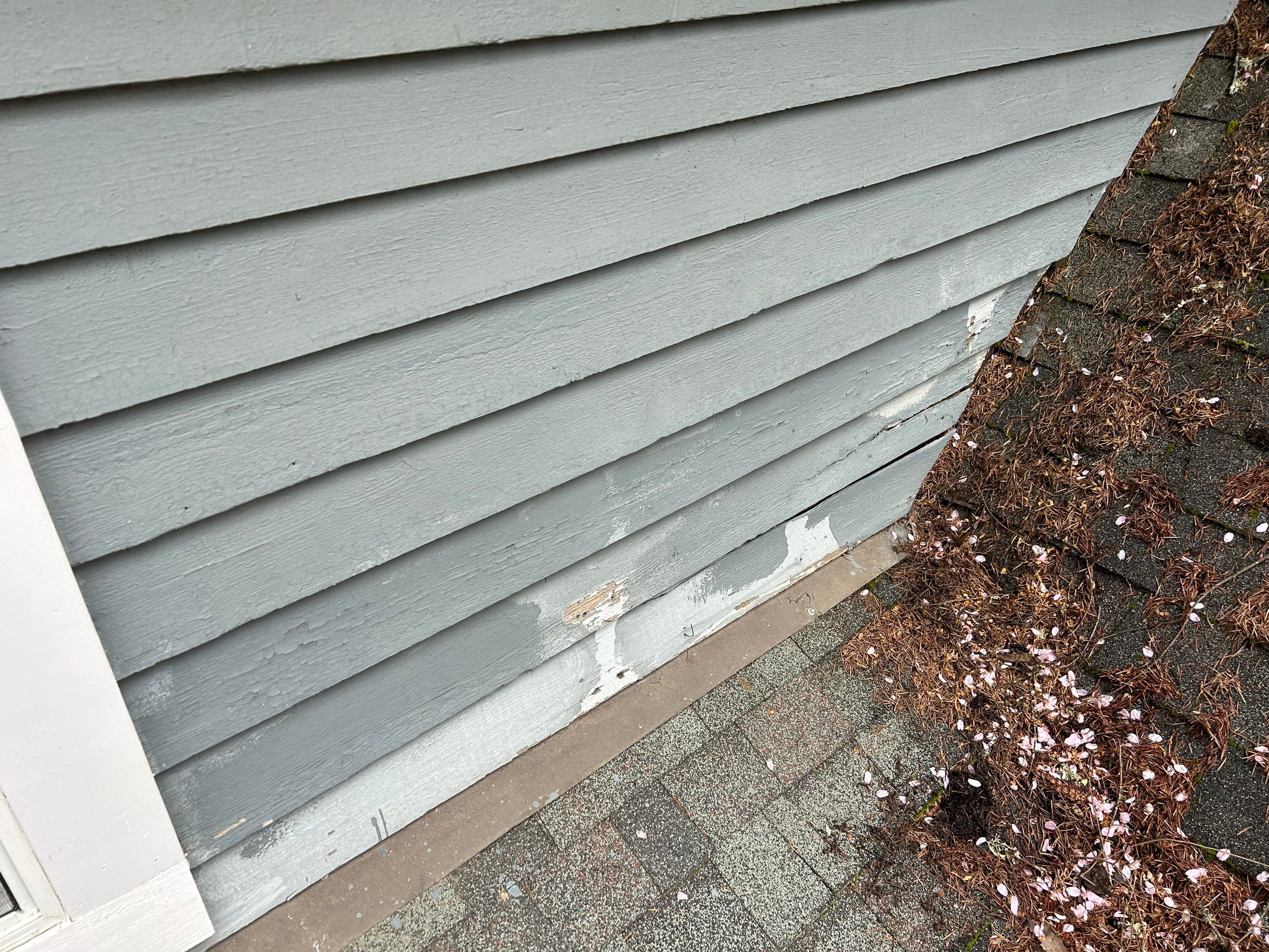 Project in Redmond by Peaks and Valleys Construction