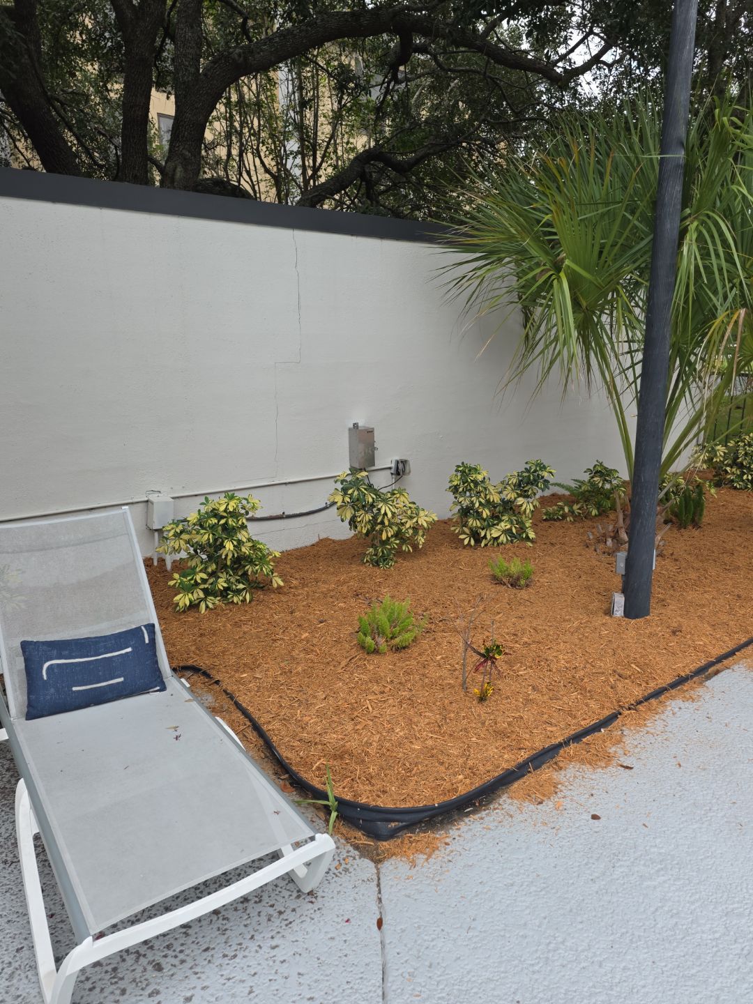 Marriott Hotel | Mulch Refresh by ProGreen Services