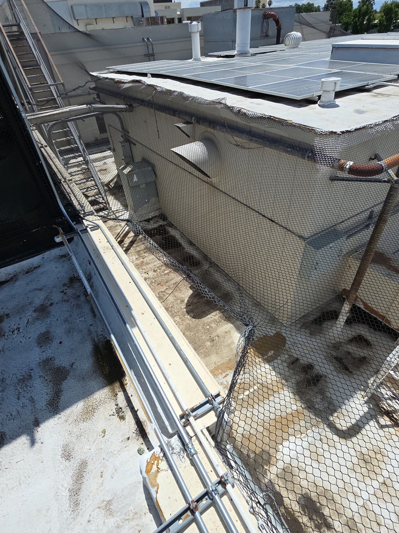 Commercial Solar Panel Cleaning by Palm Coast Solar Cleaning