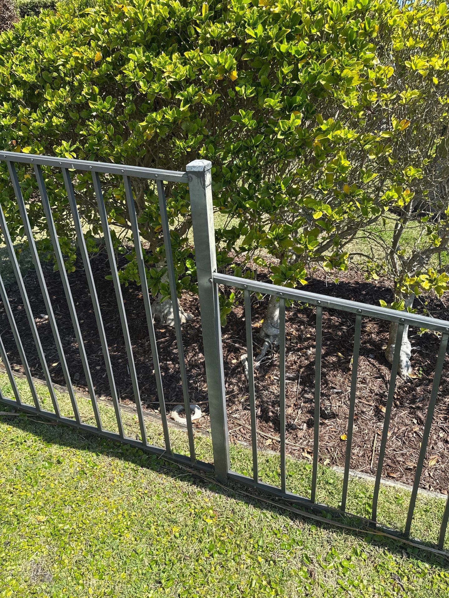 590 Birdie Ln  by H&Y Fence