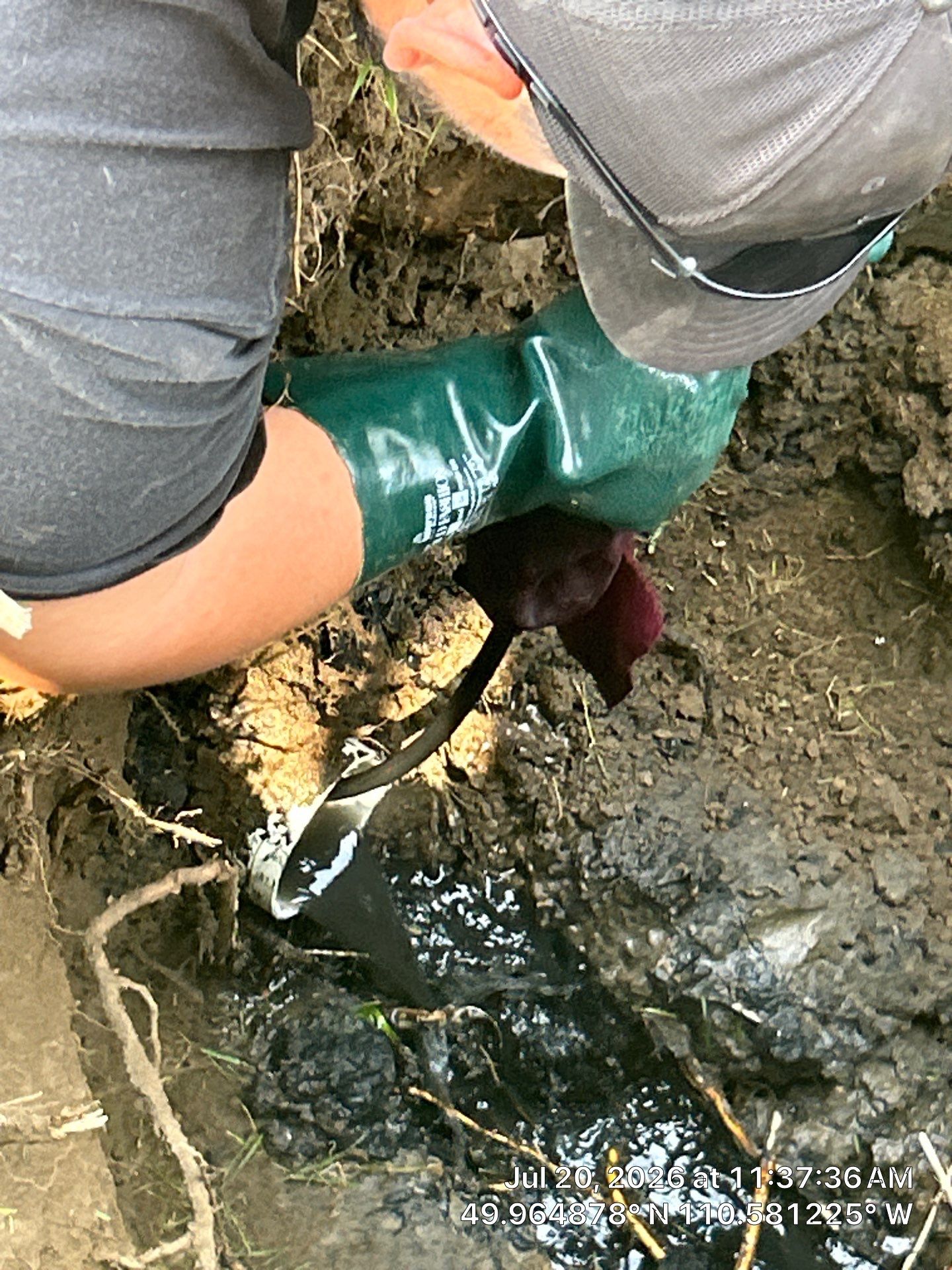 Septic System Pump Replacement and Sewer Line Root Removal in Dunmore by Septic Medic Inc.