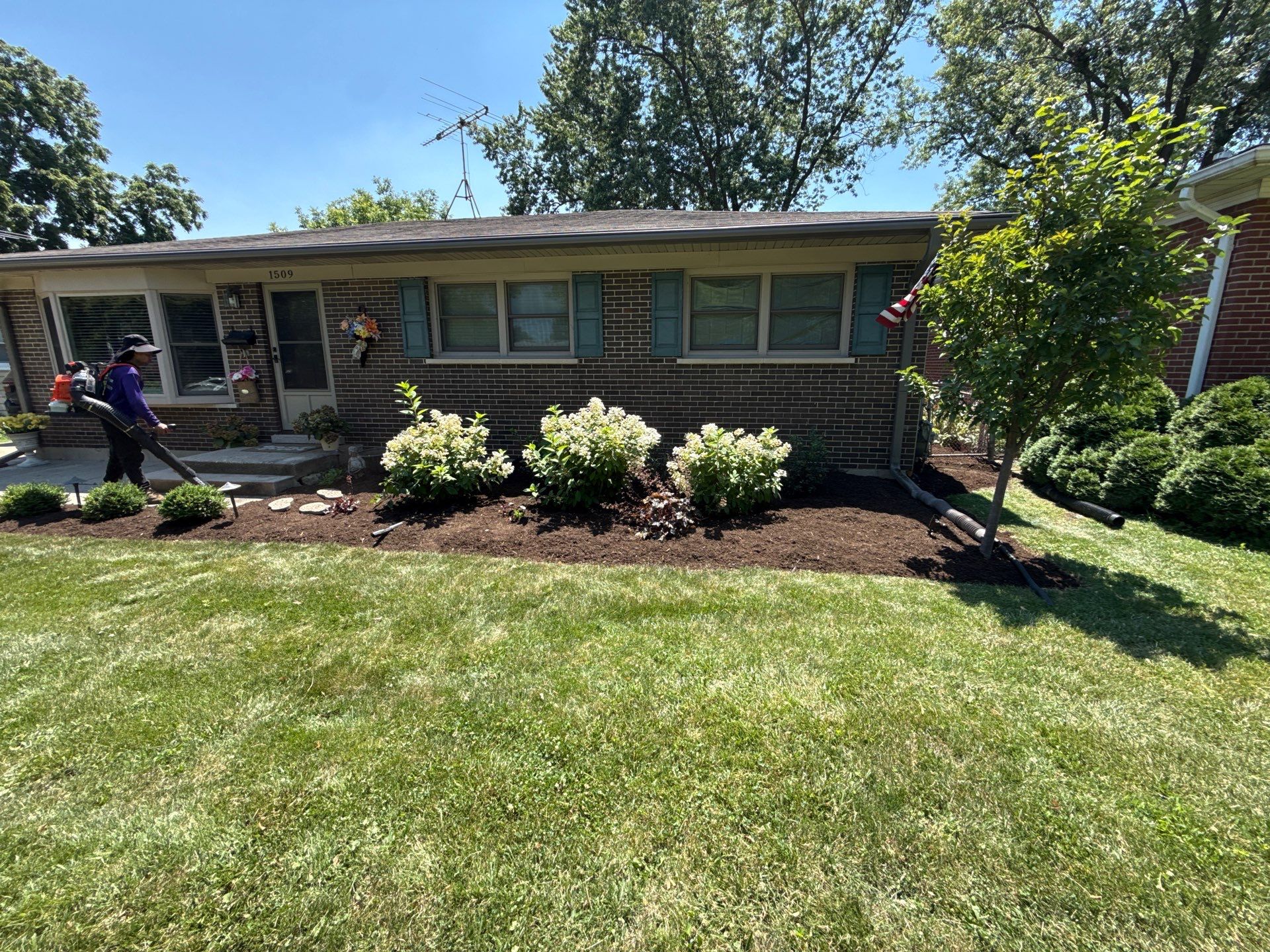 Gina K. - Mount Prospect, IL by A&N 