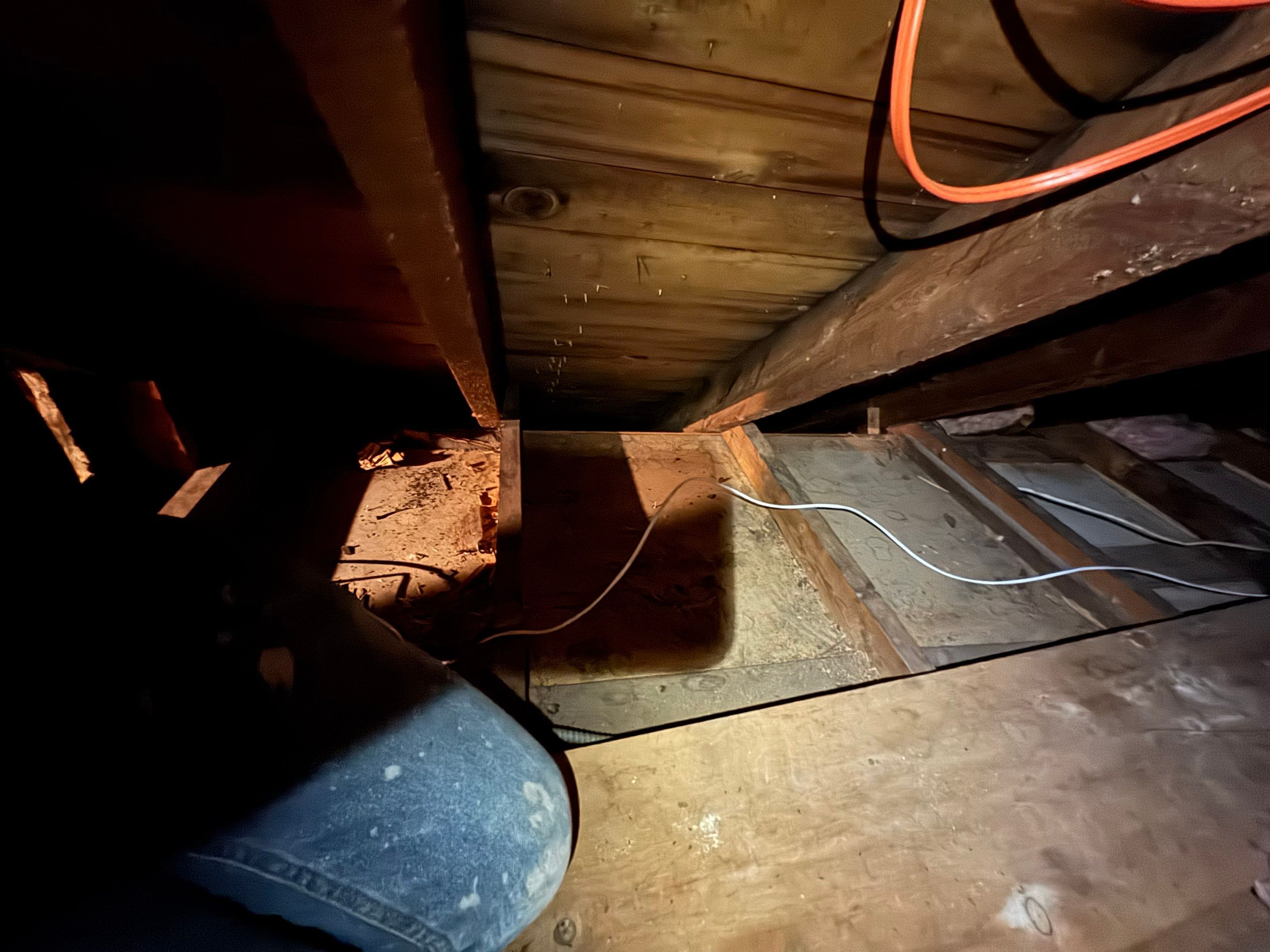 Attic Mold Remediation using Home Guarantee by Home Guarantee, LLC