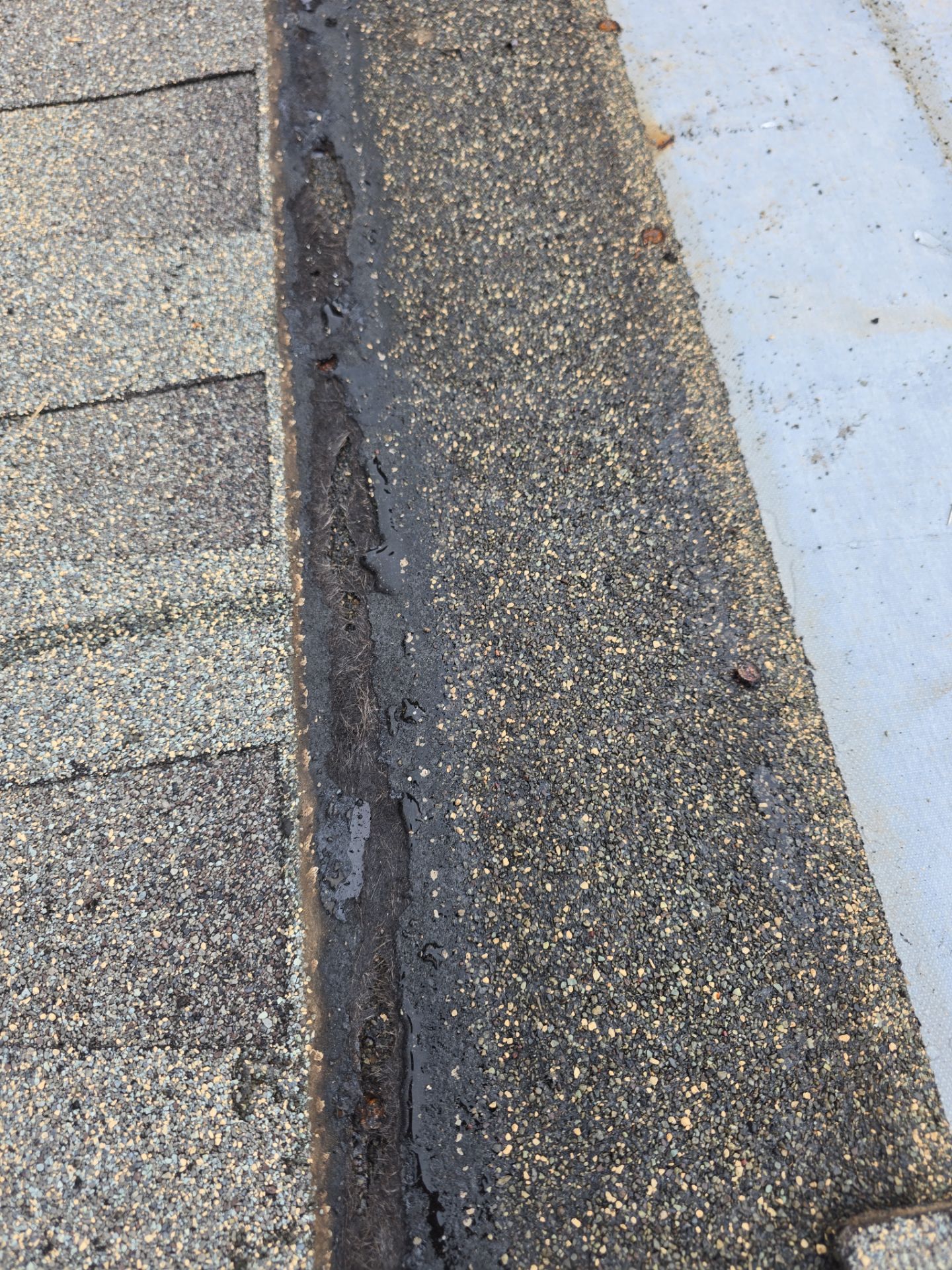 Roof Repair Arcola by Roof Repair Services LLC