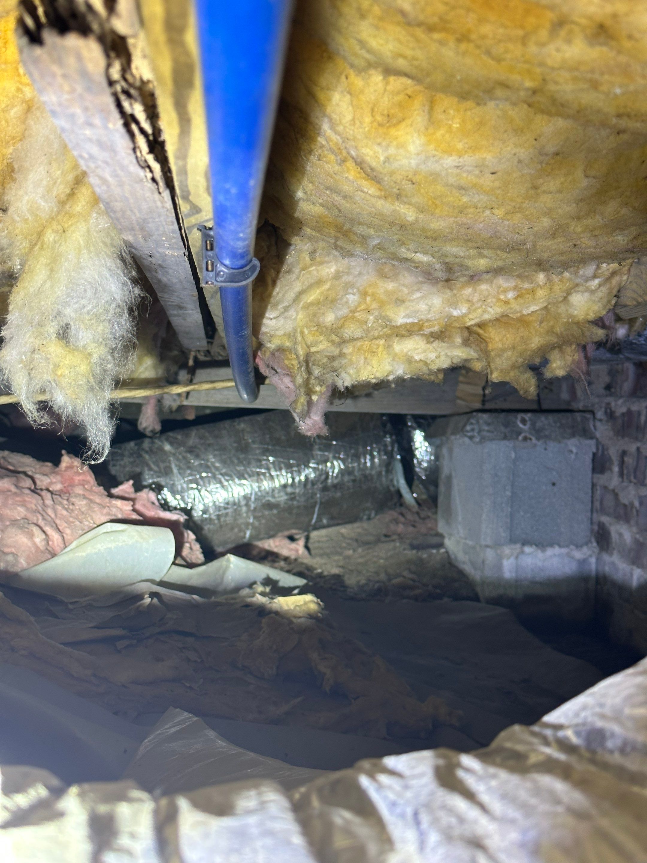 Impact Choice Encapsulation on a low crawlspace. by Impact Crawlspace