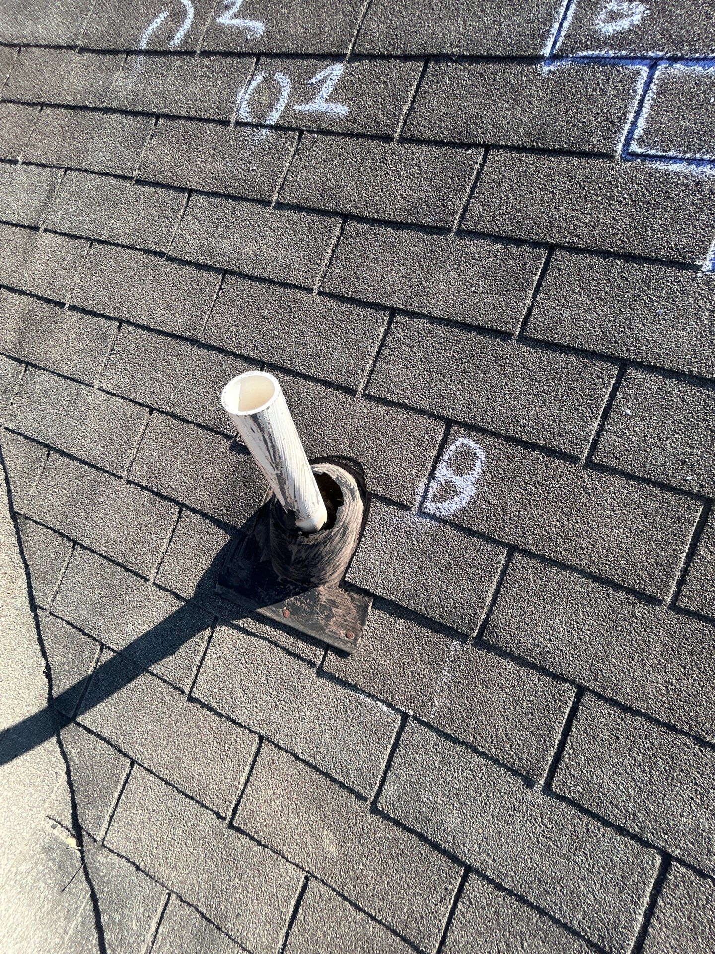 Miss Bridgette by REPS Austin Area Roofer