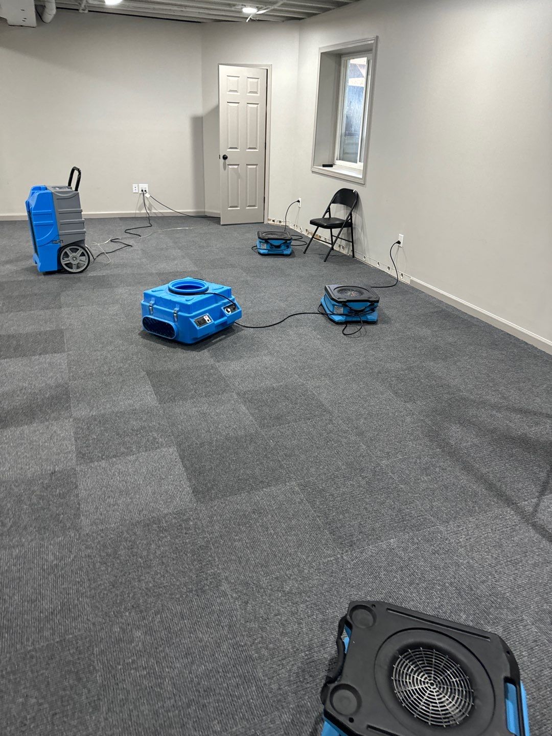 Project in Novi by EzDry Water Mitigation & Property Restoration