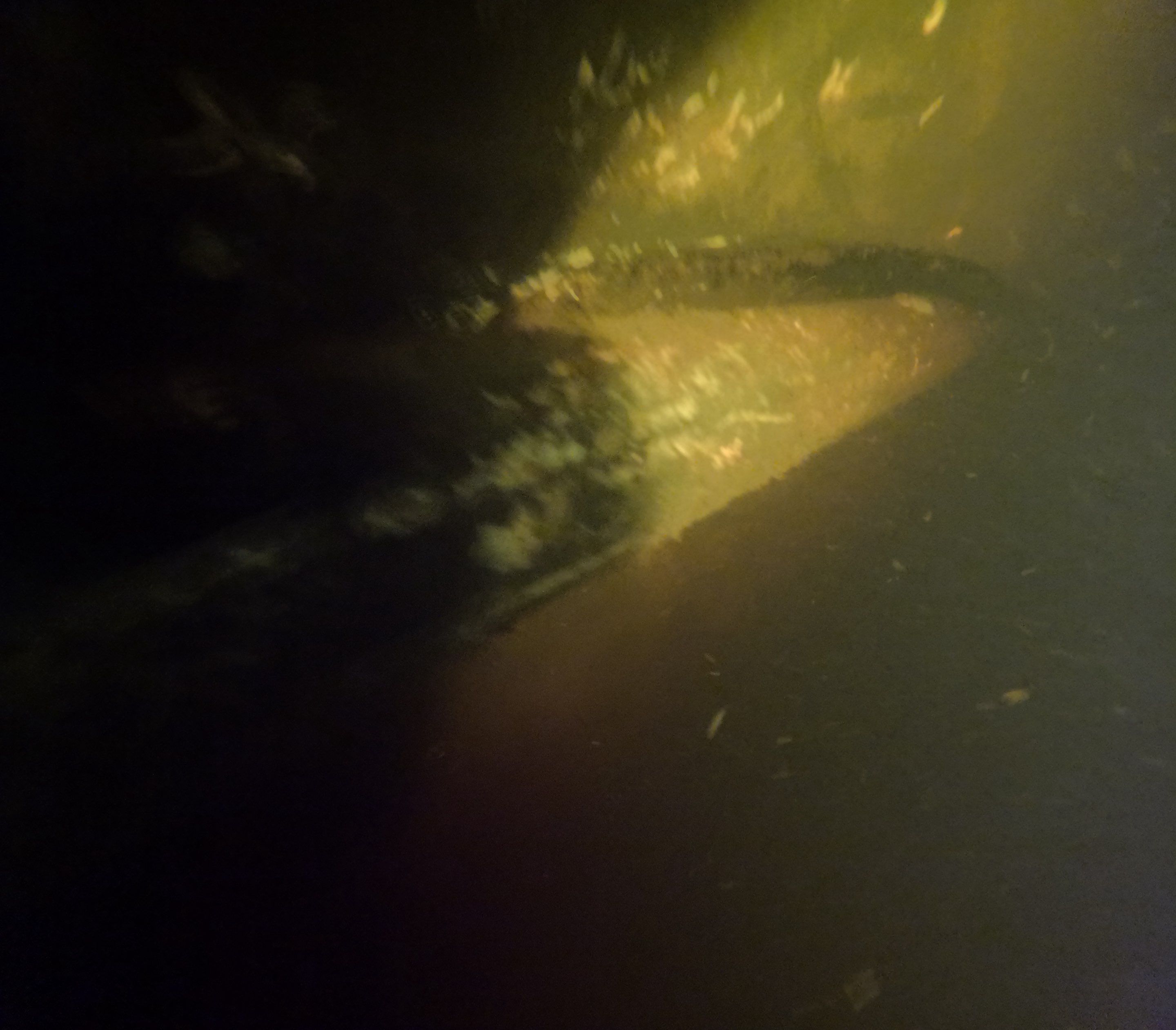 Project in North Fort Myers, FL by Florida Hull Cleaning 