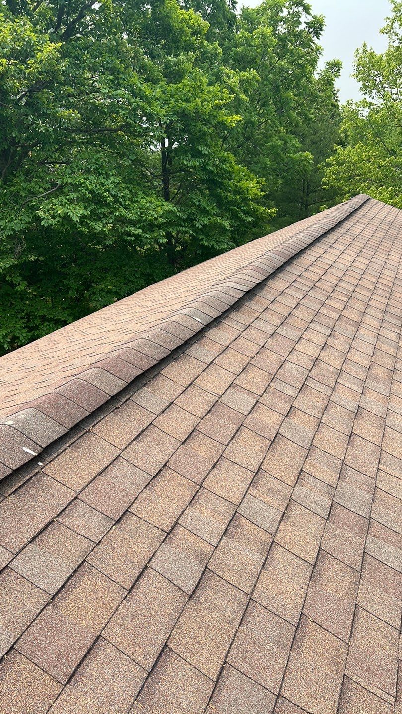 Sally Snider by Silver Leaf Contracting 