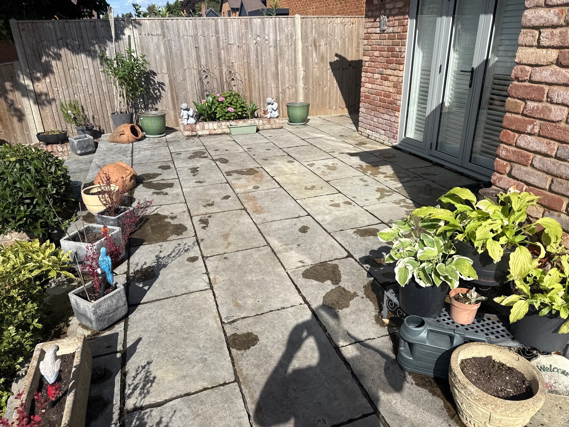 Roof Cleaning by Ges Exterior Cleaning ltd