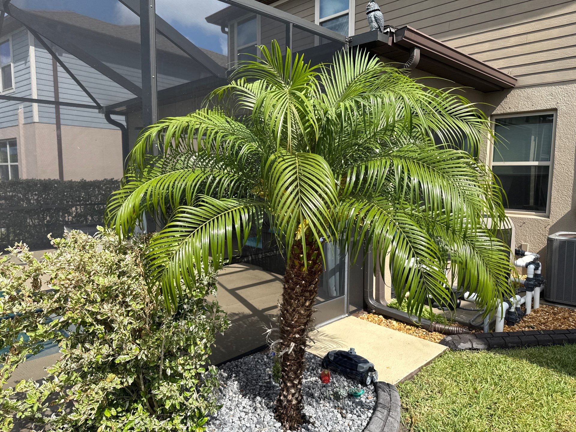 Roof Soft Wash, Pool Deck & Screen Enclosure Cleaning – Trevesta Community, Palmetto, FL by Sunshine AquaWash