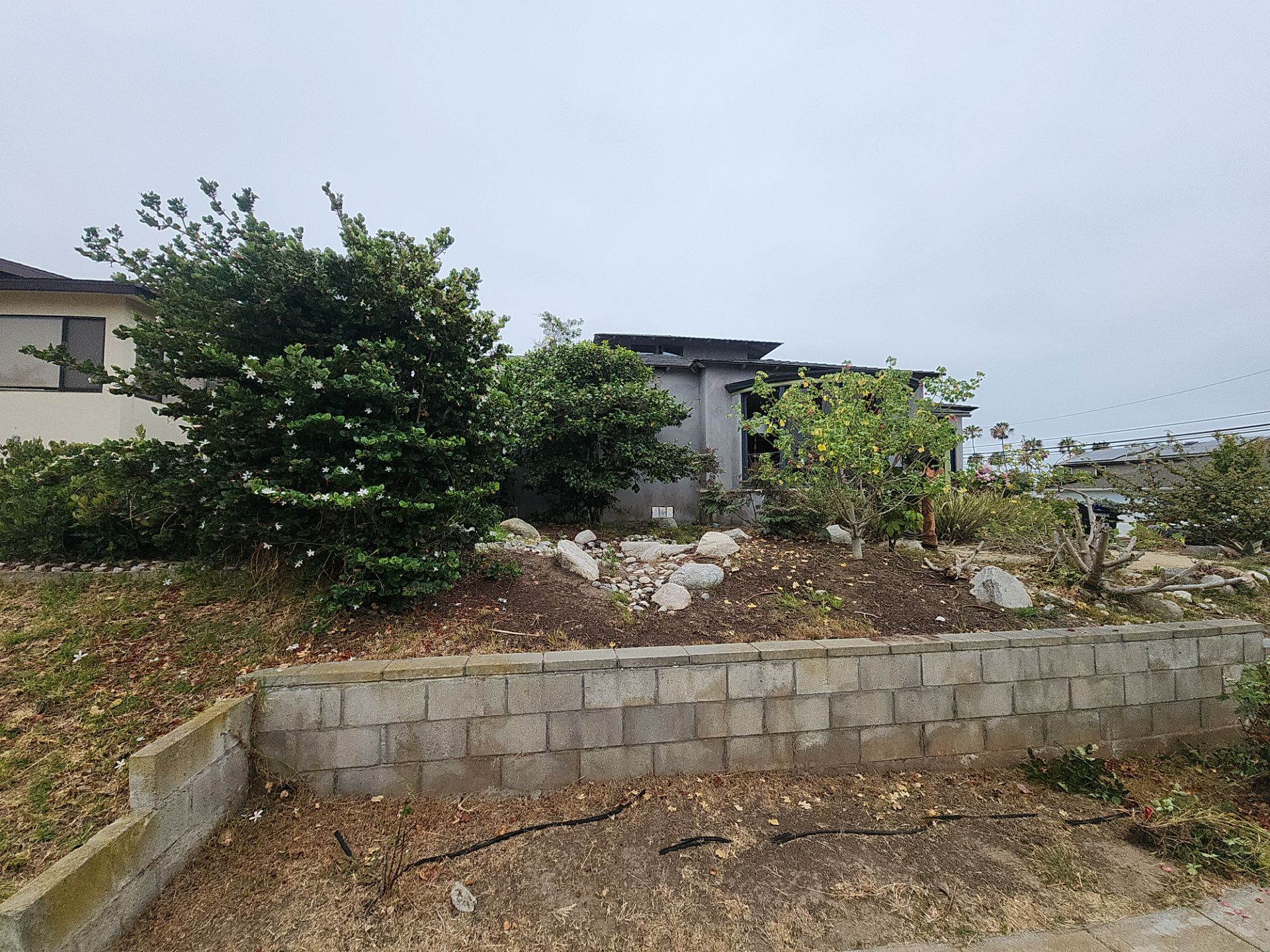 San Diego Landscape Clean Up by Yard Techs