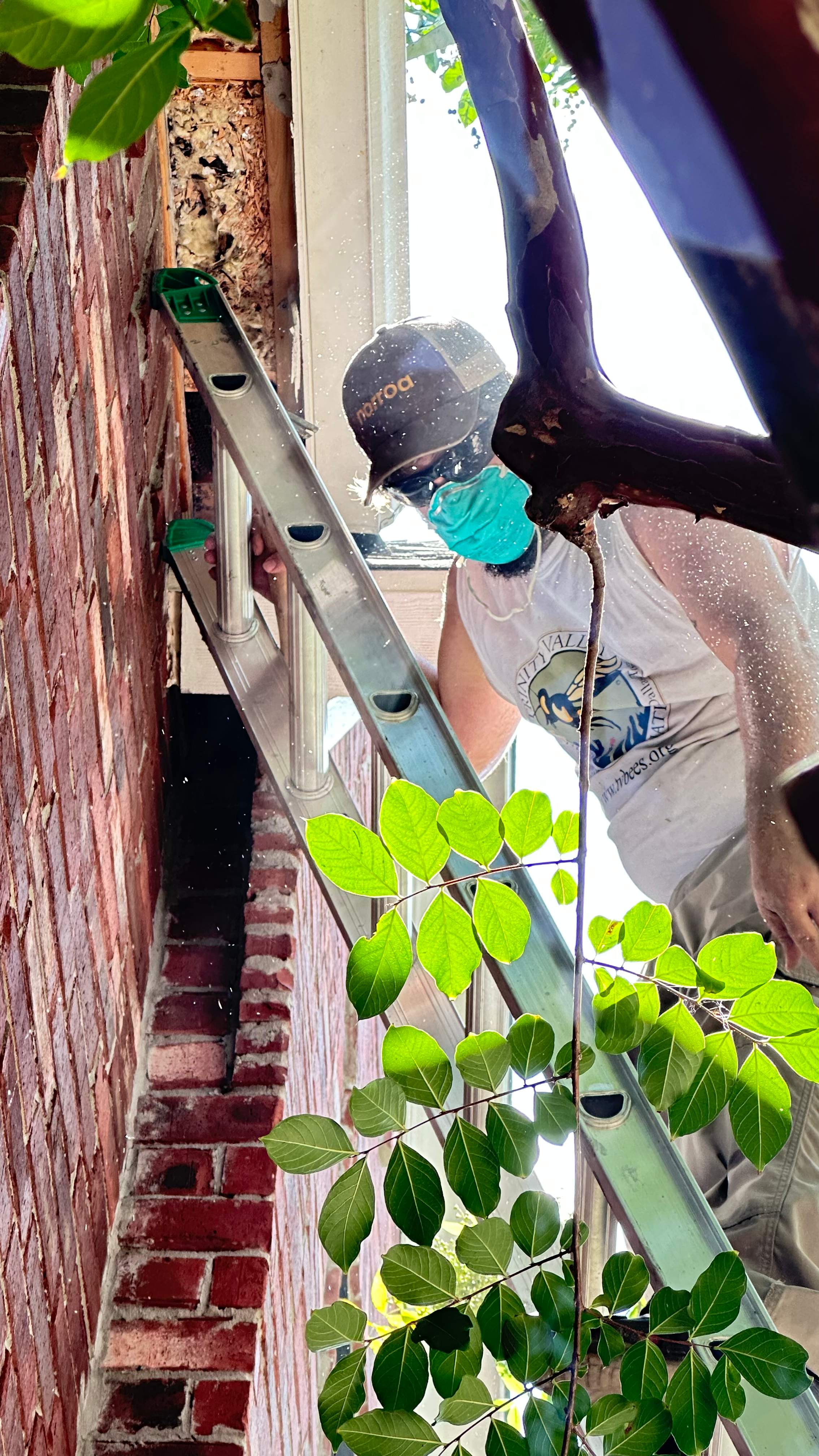 Skinny Space by Rockwall Honey Bee Company