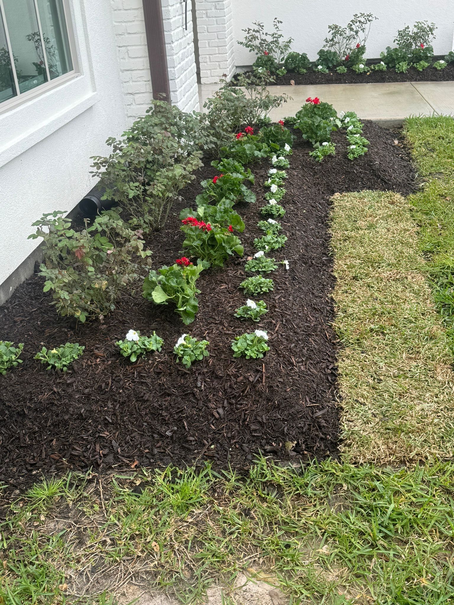 Open House Ready! Daniel Walldrop's Front Yard Flower Bed Makeover! 🏡🌿 by Texas Urban Elements