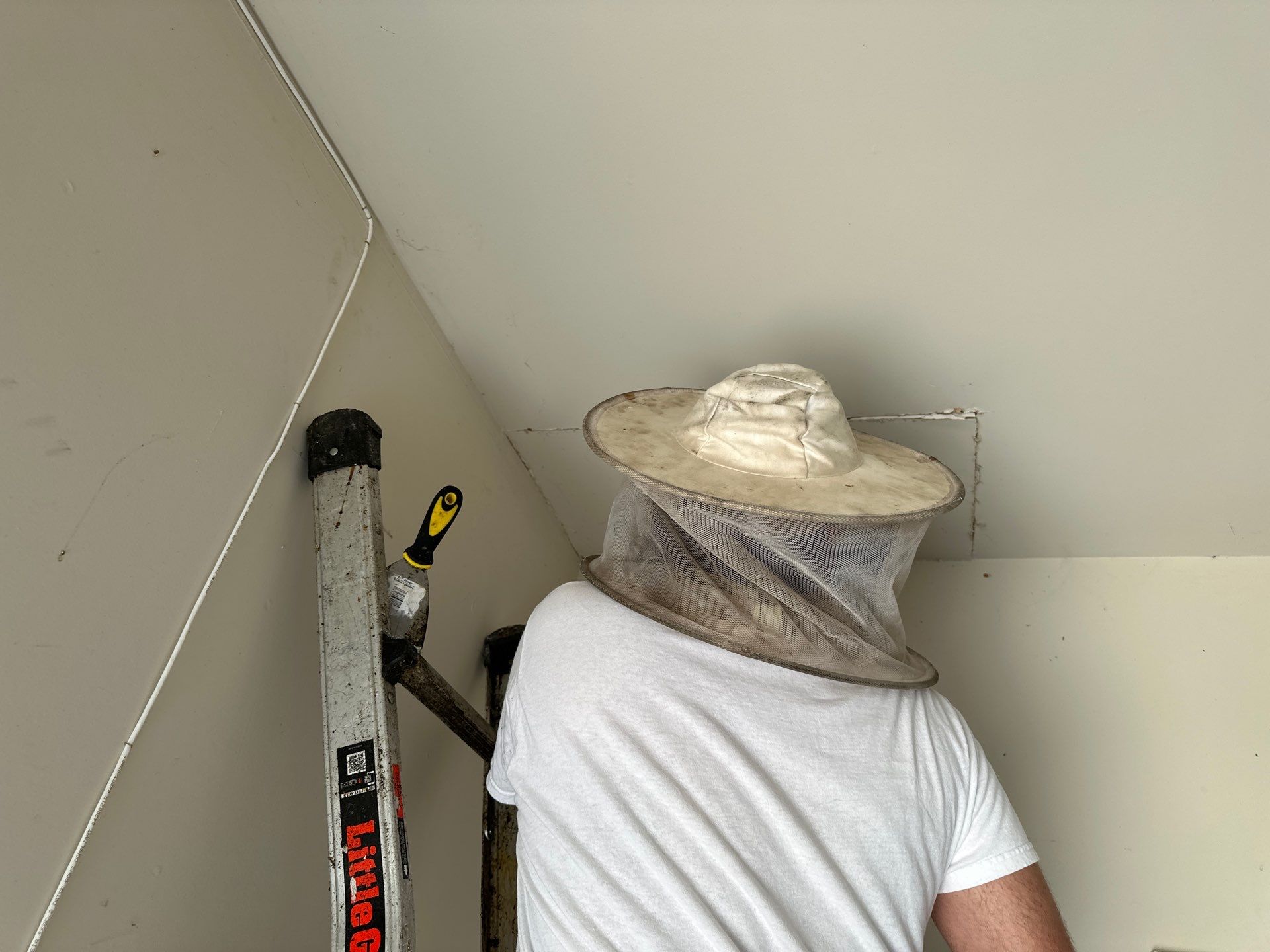 First Spring 2026 by Rockwall Honey Bee Company