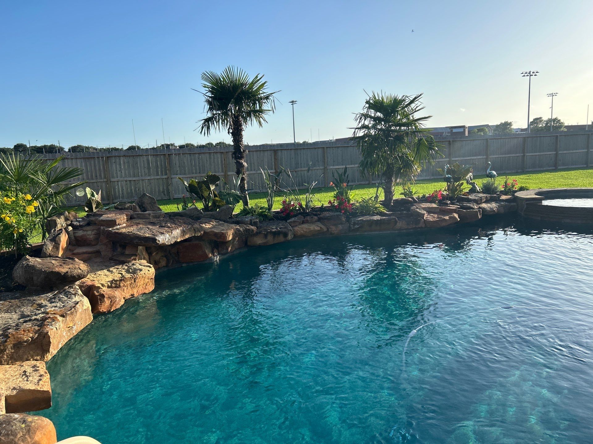 🌿 Larry Caudillo’s Poolside Landscape Revamp by Texas Urban Elements